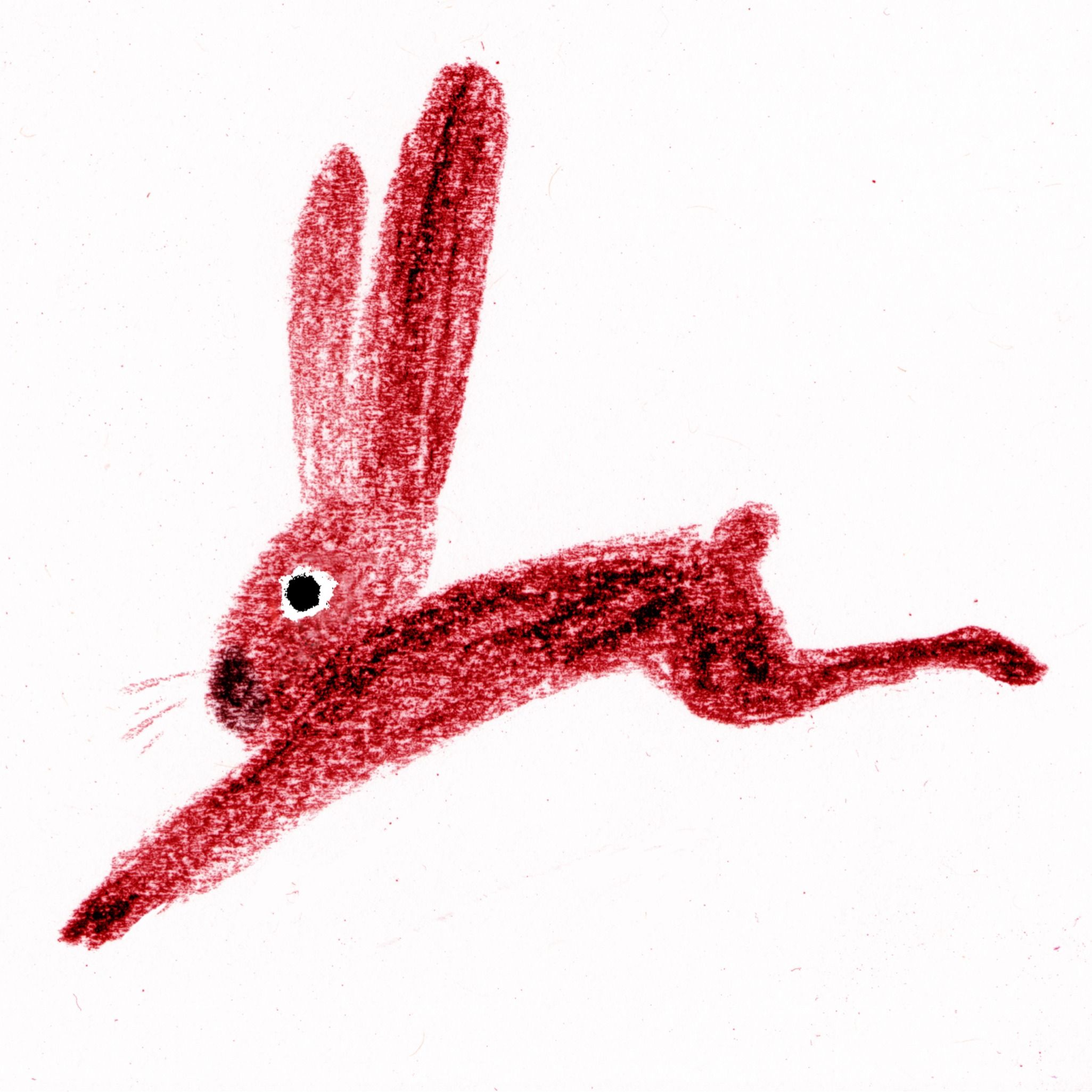 Catia Chien - The Intuitive Illustrator
