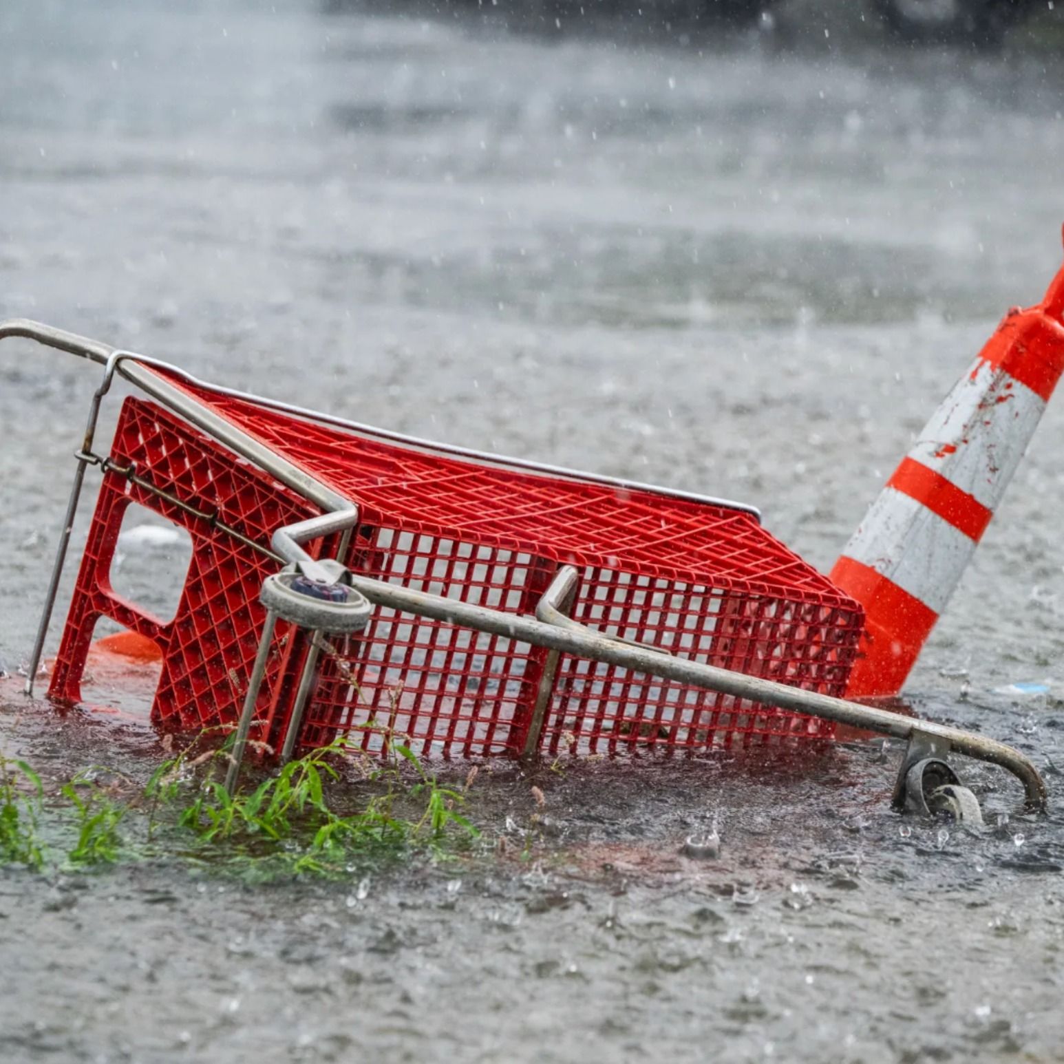 'A Death Trap' -- Ford City Mall Could Be Shut Down By City