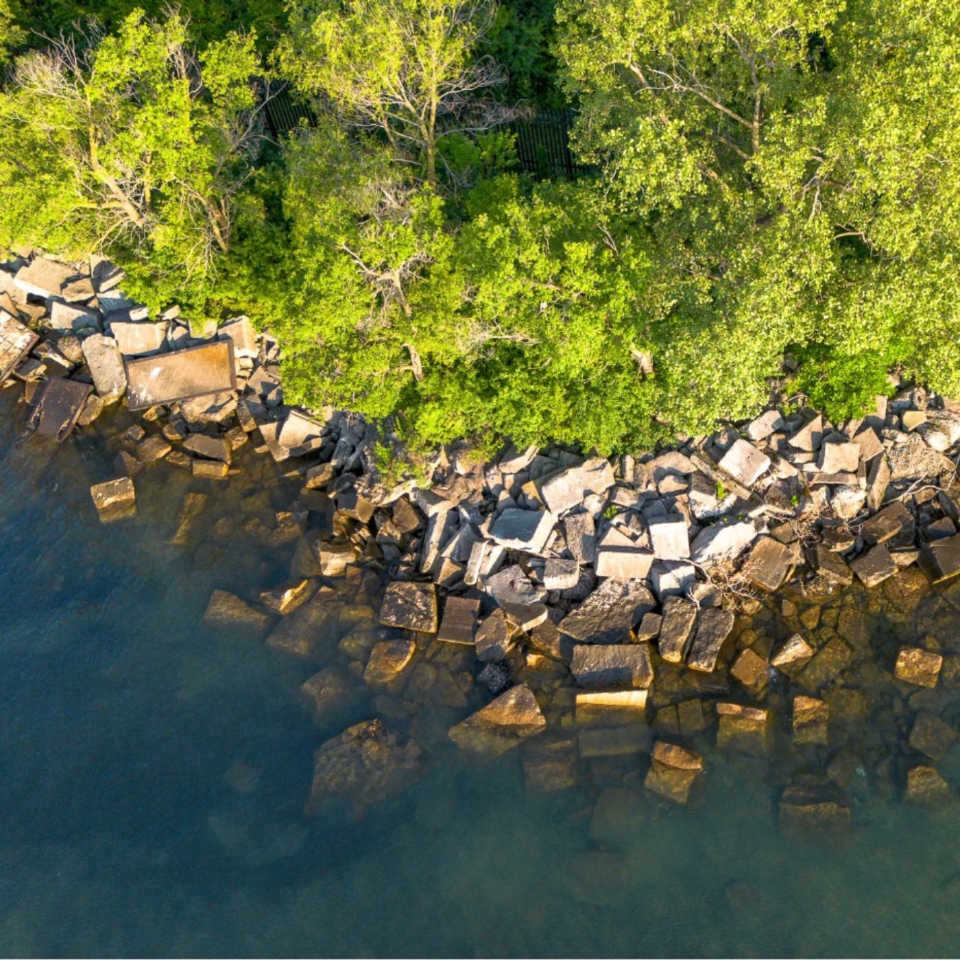 Chicago History Discovered In The Rubble Protecting Our Lakefront