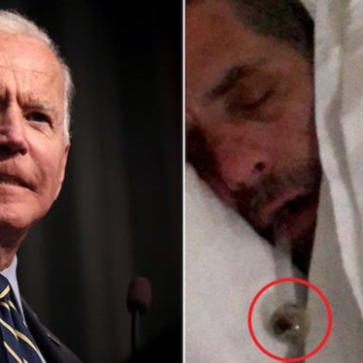 5: Biden Family Corruption