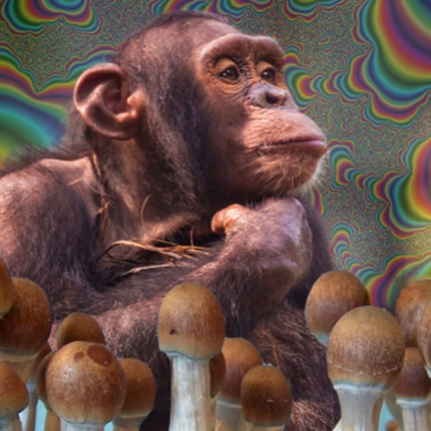 4: Magic Mushrooms & Stoned Ape Theory