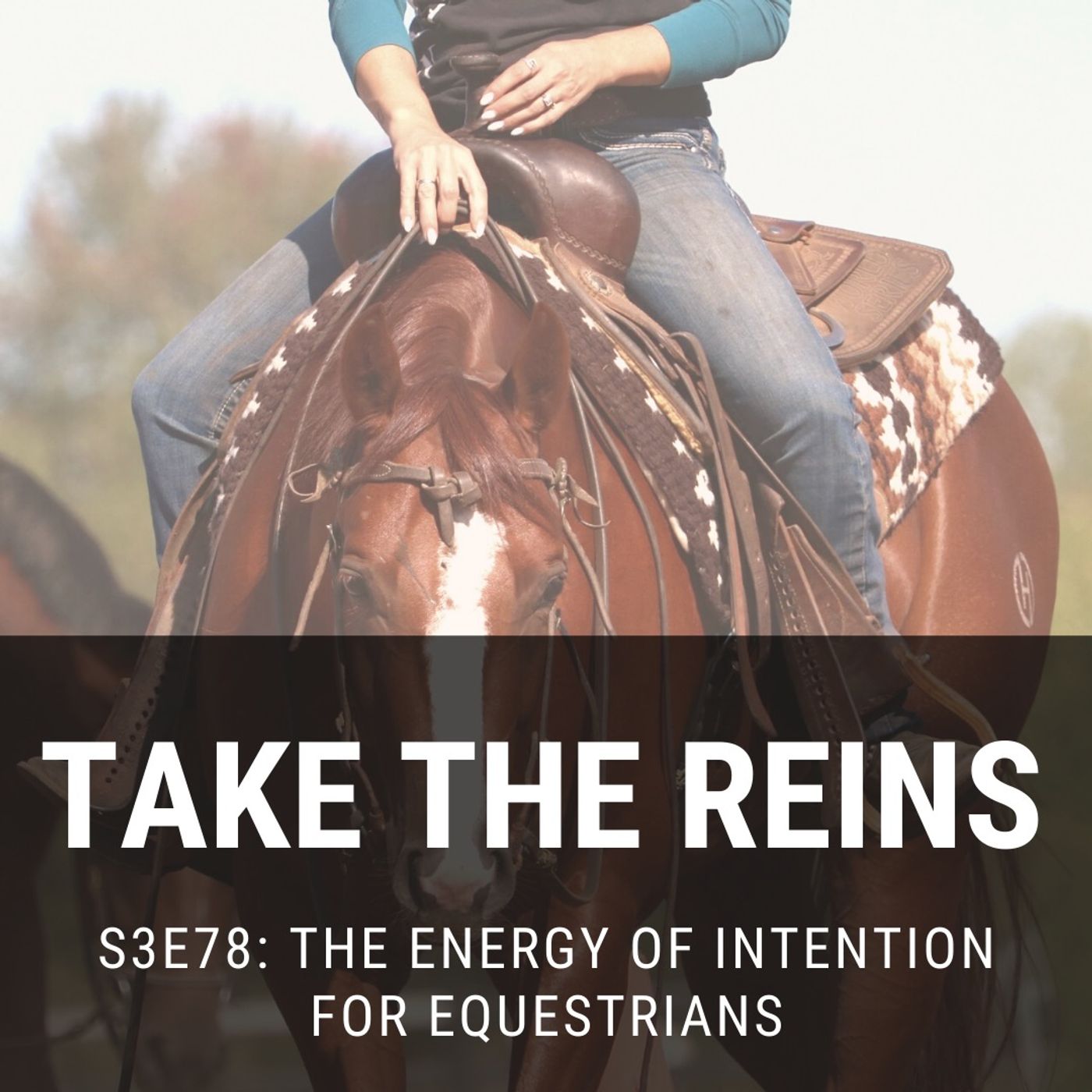 Take the Reins