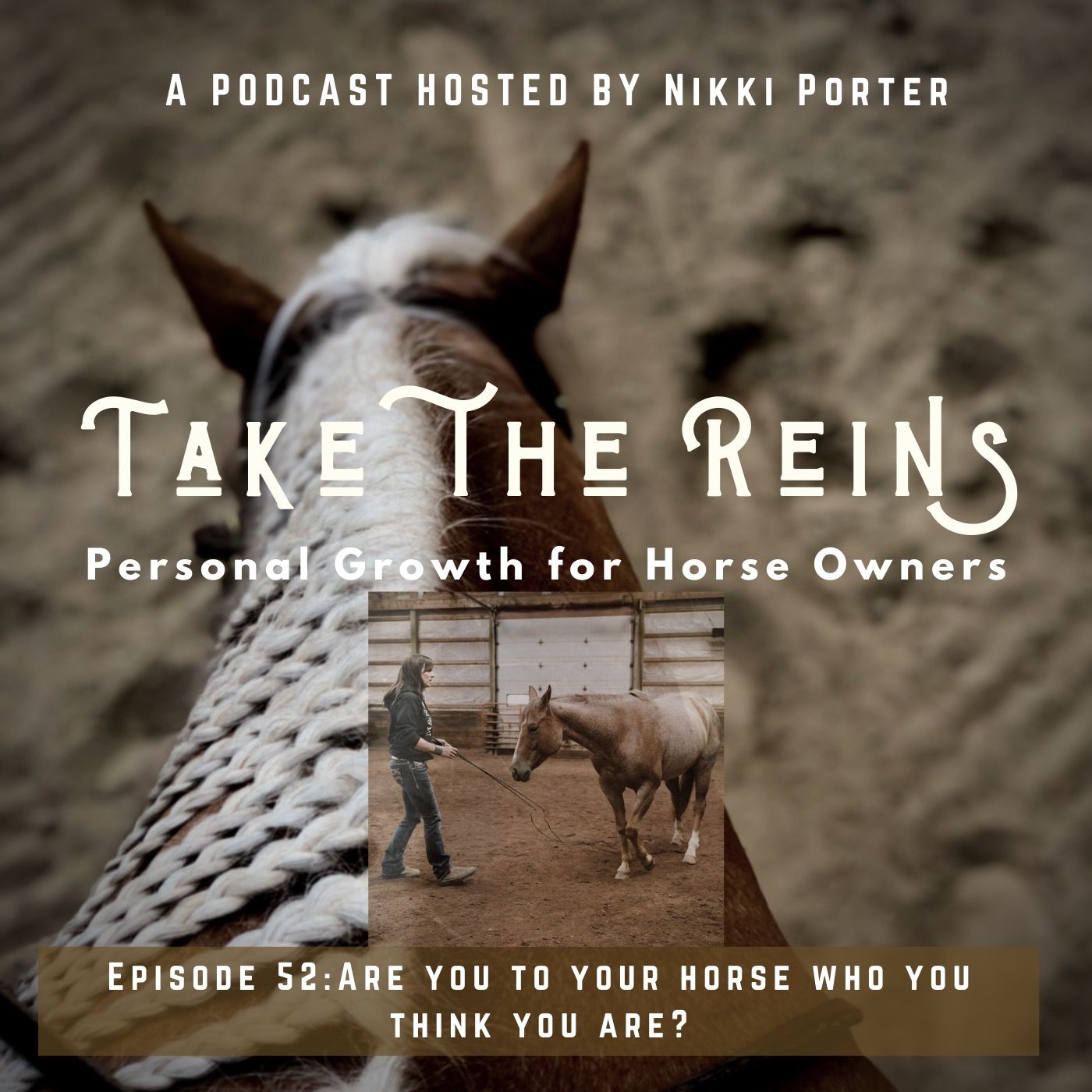 Take the Reins