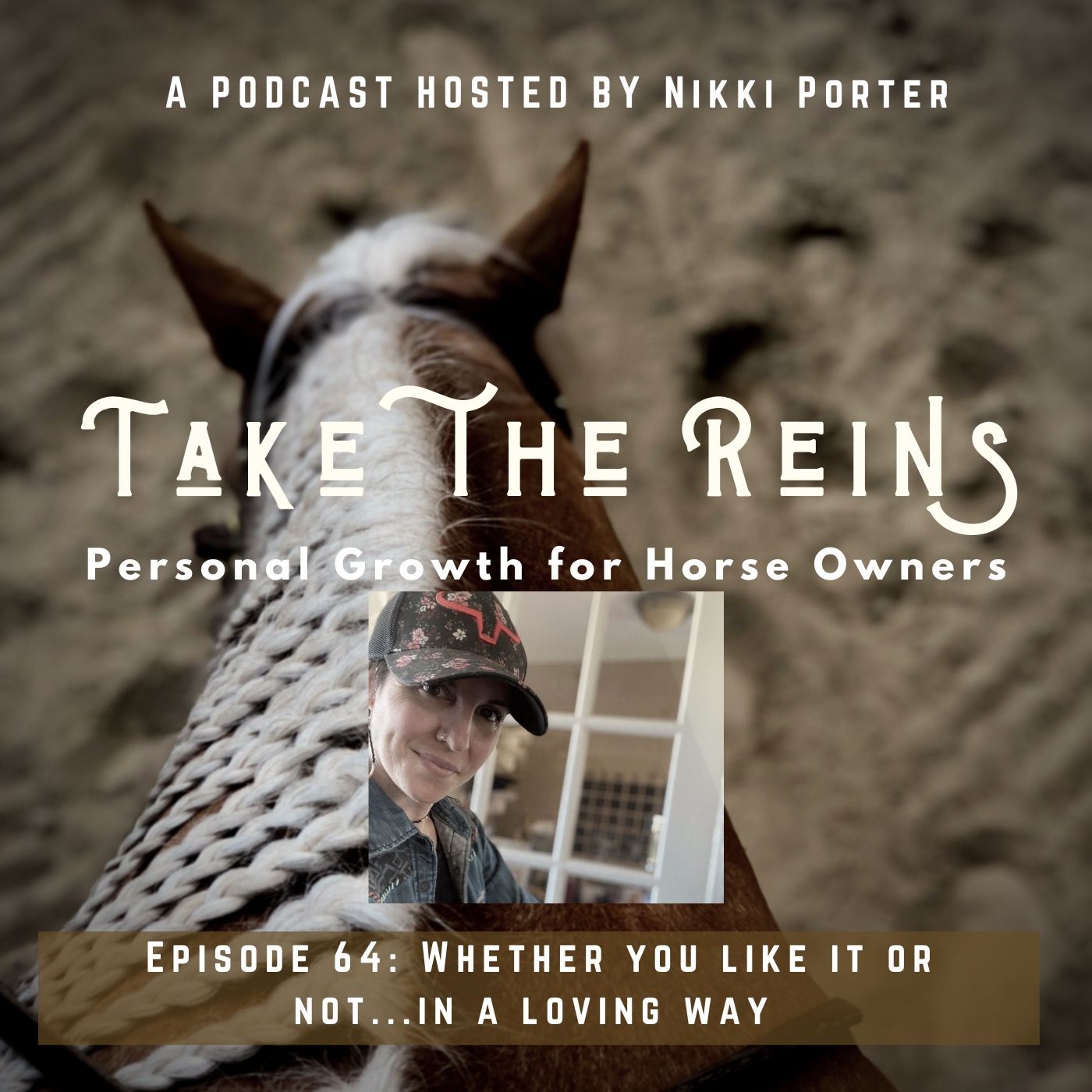 Take the Reins