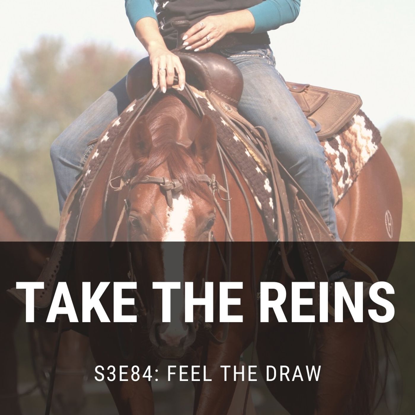Take the Reins