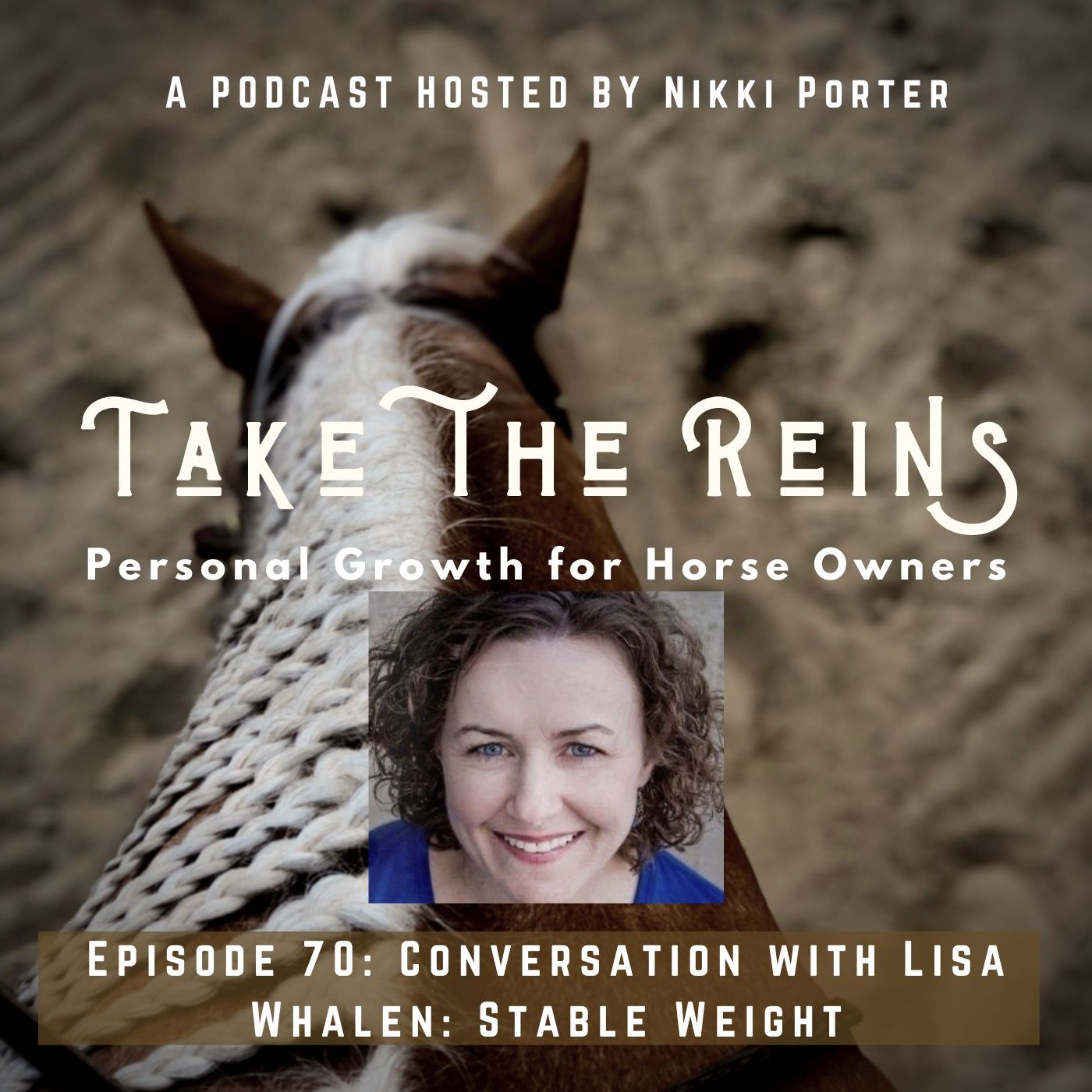 Take the Reins