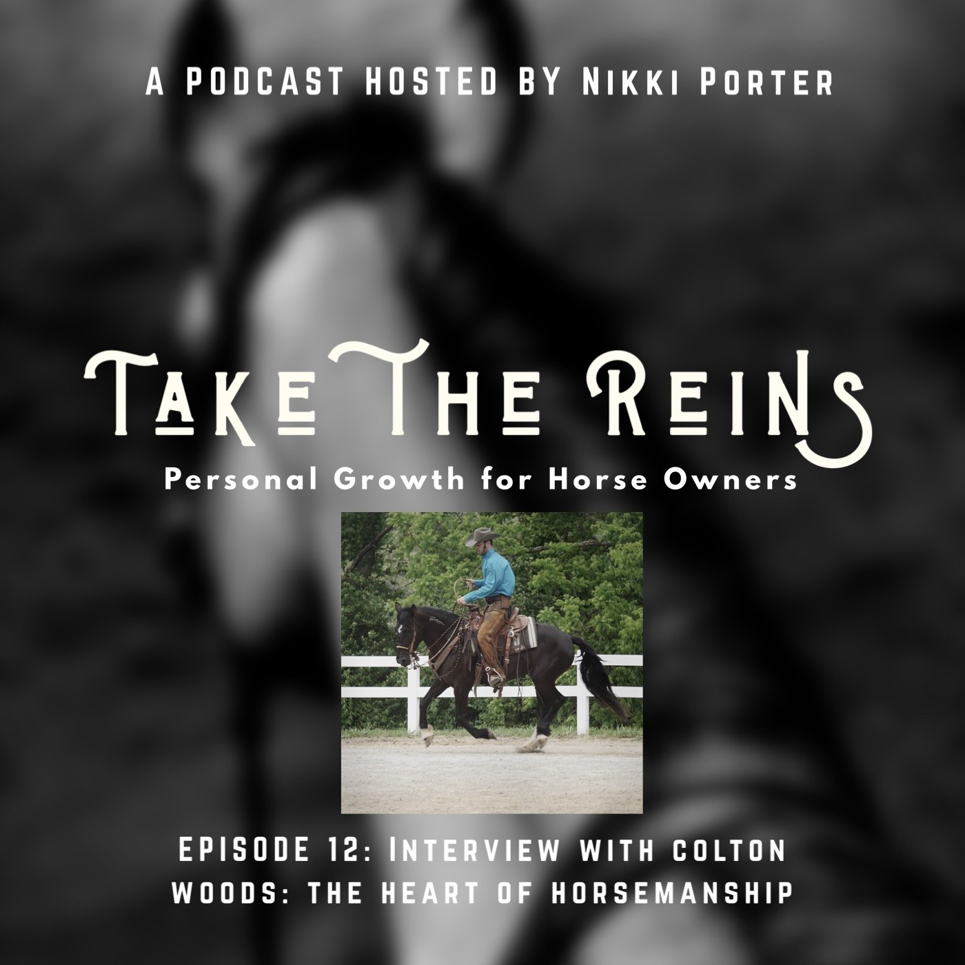 Take the Reins