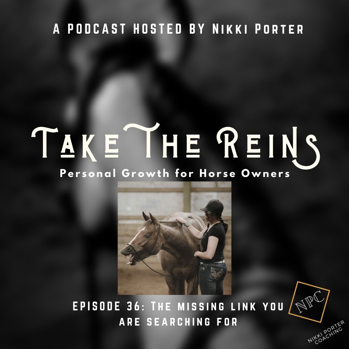 Take the Reins