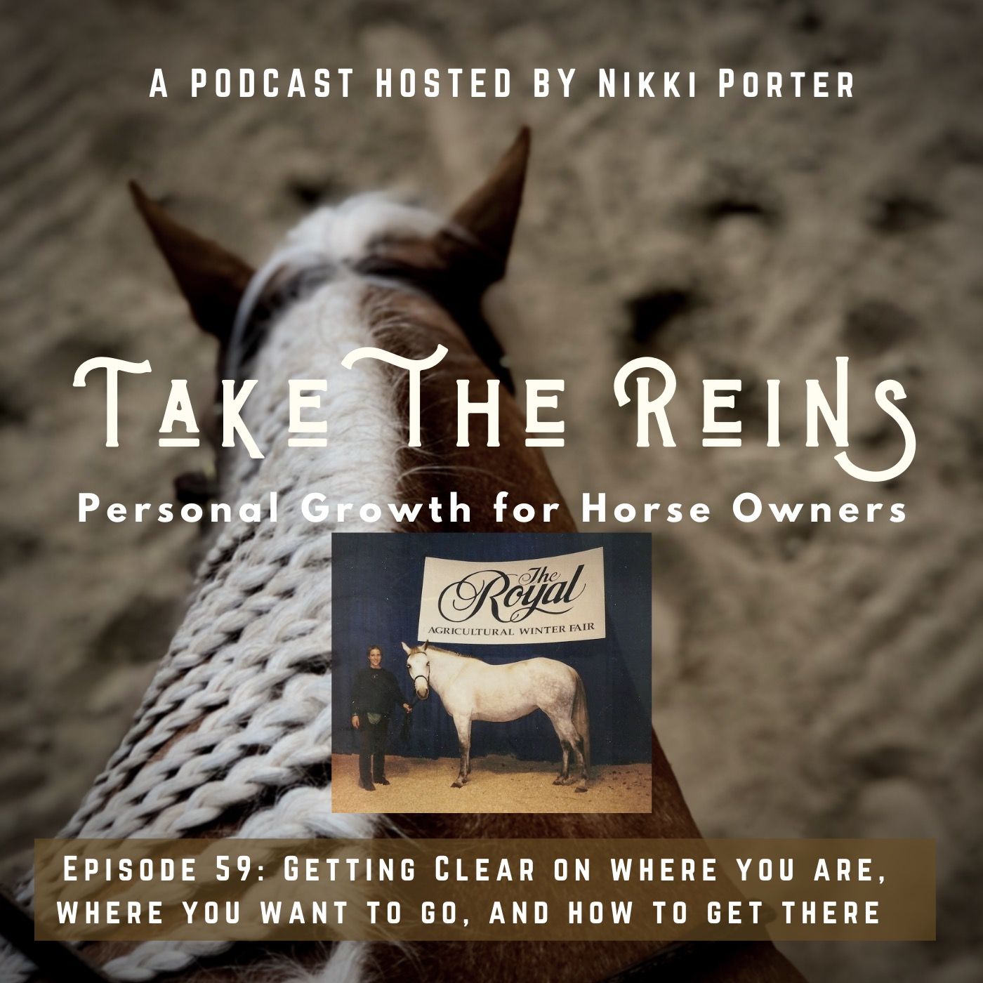 Take the Reins