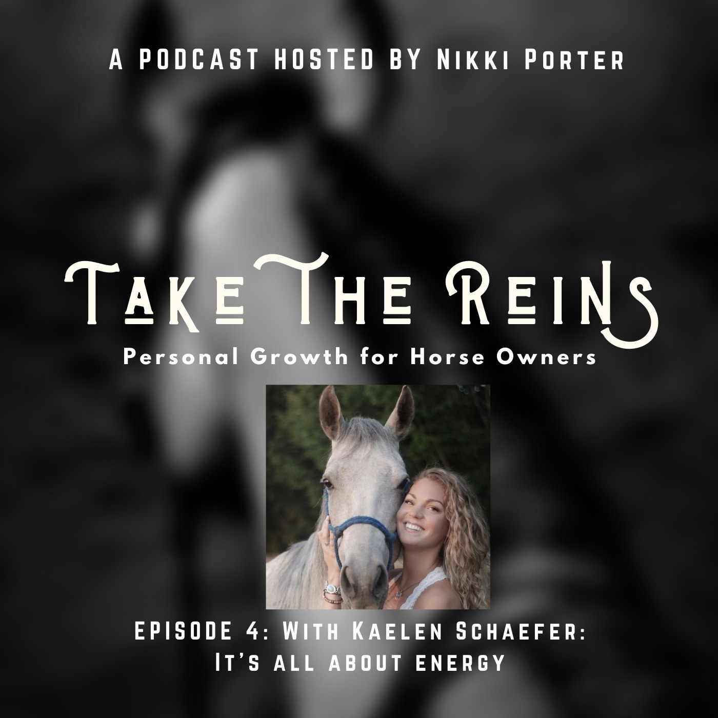 Take the Reins