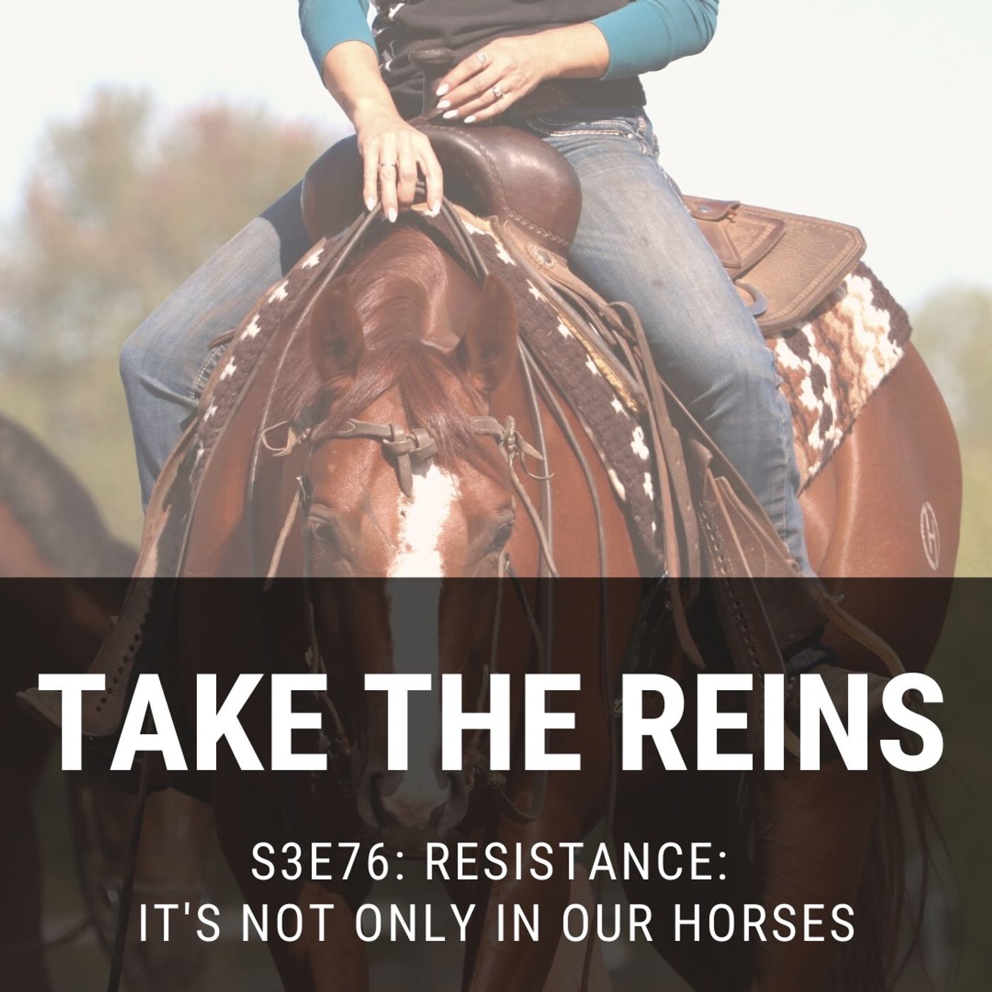 Resistance: It’s not only in our horses