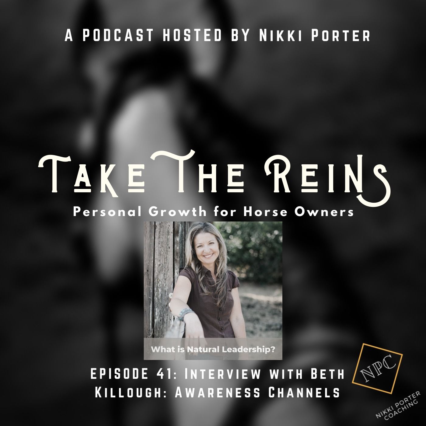 Take the Reins