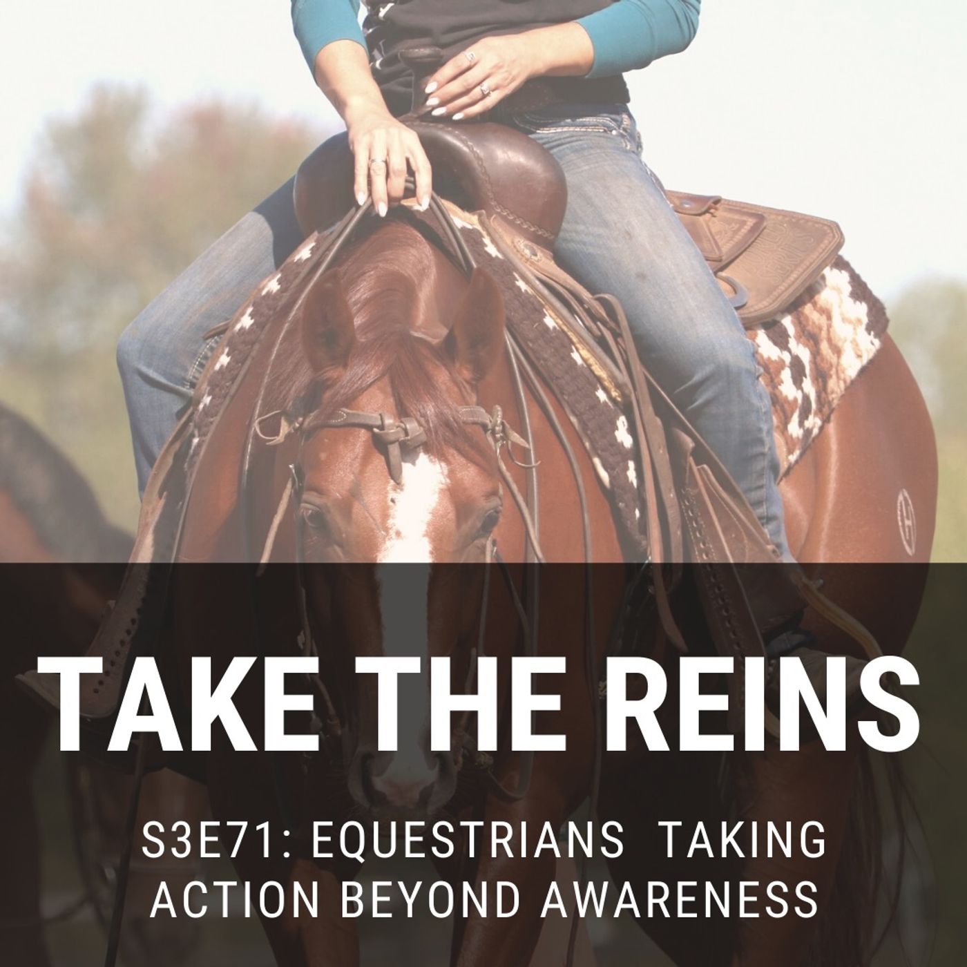 Take the Reins