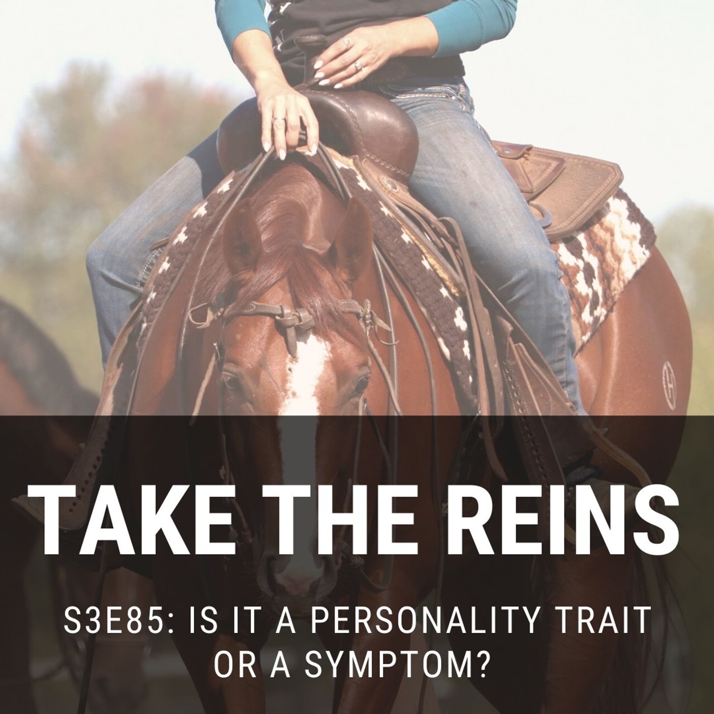 Take the Reins