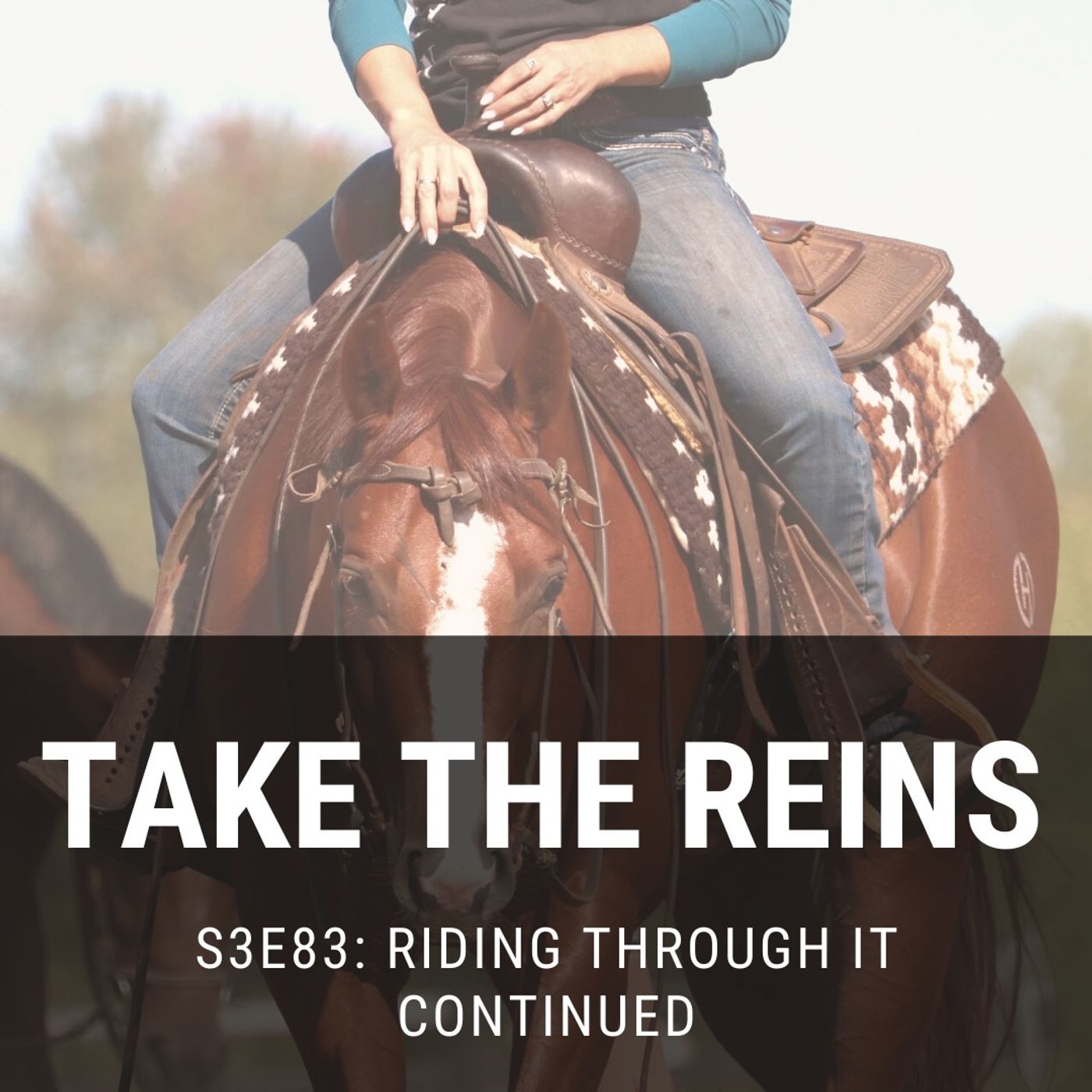 Take the Reins