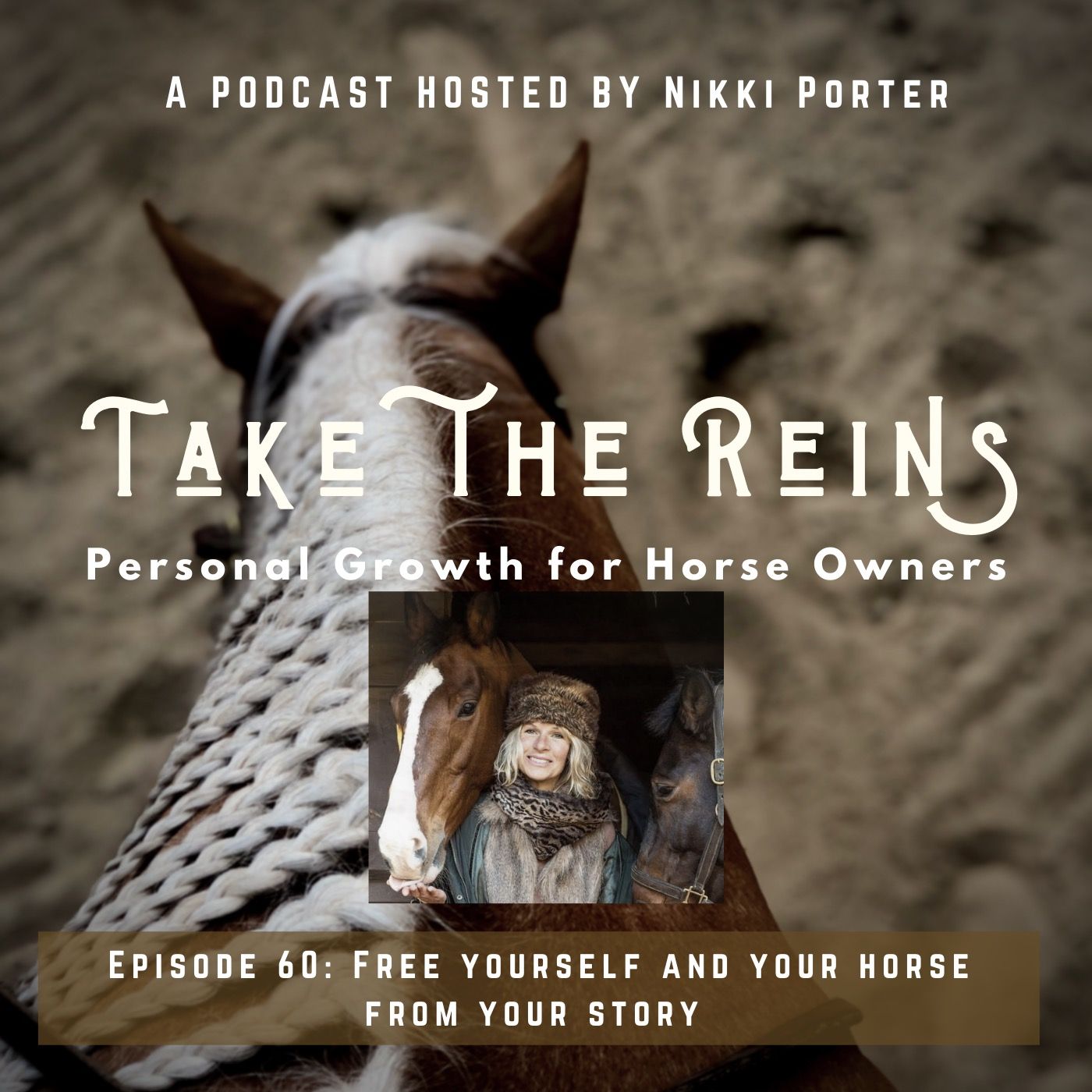 Take the Reins