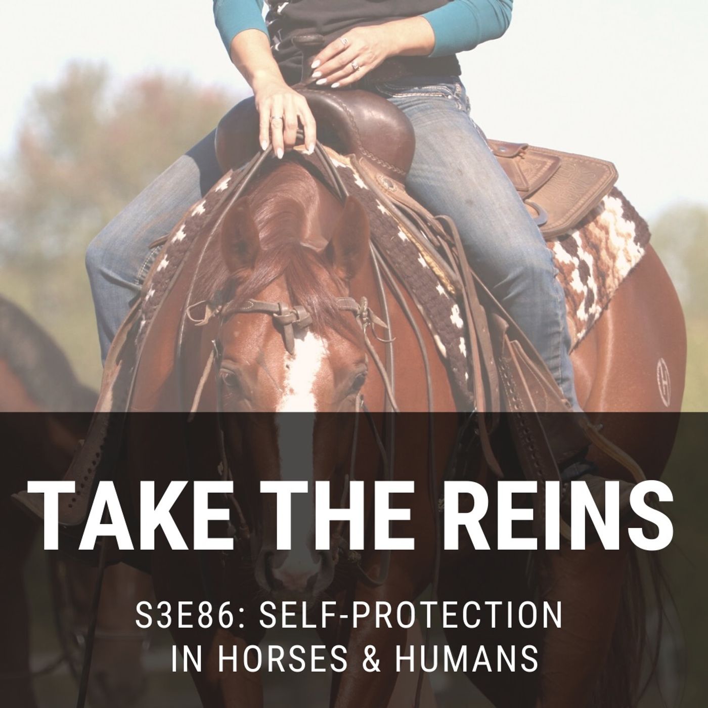 Self-Protection in Horses & Humans