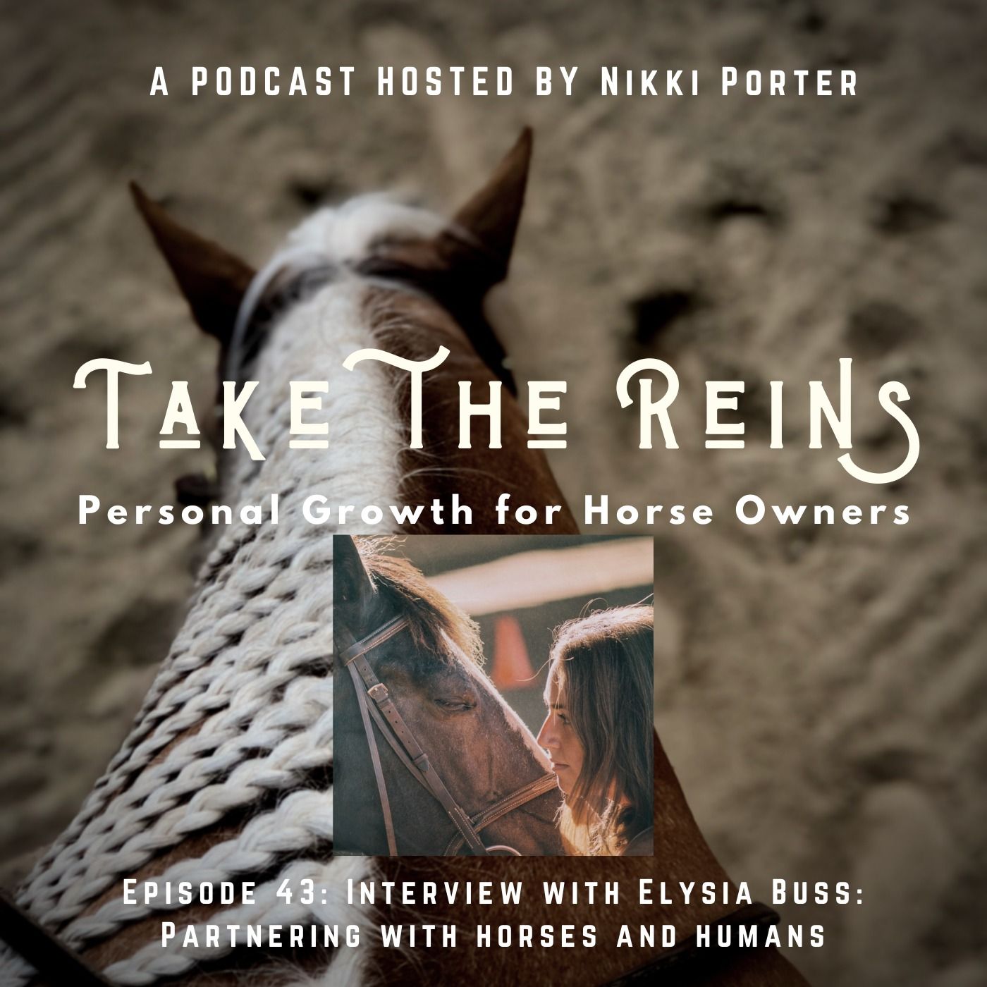 Take the Reins