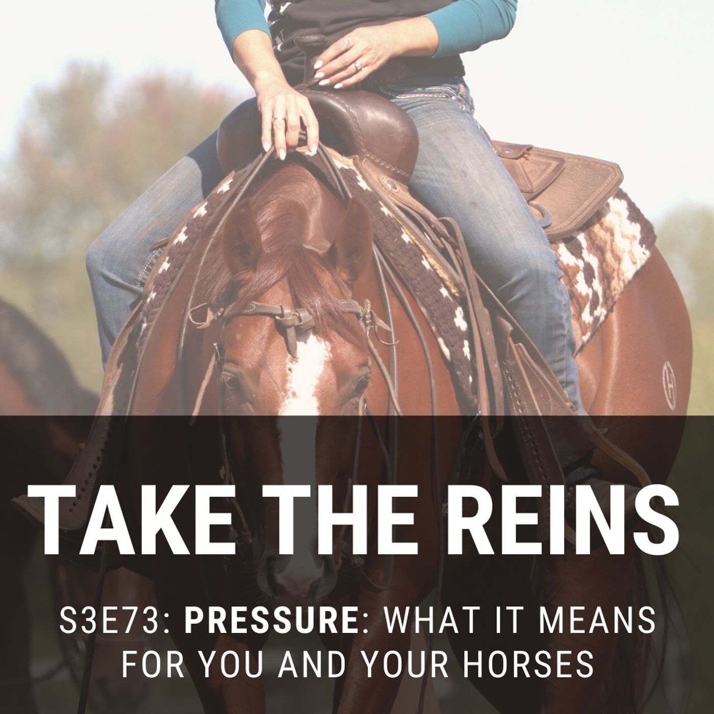 Take the Reins