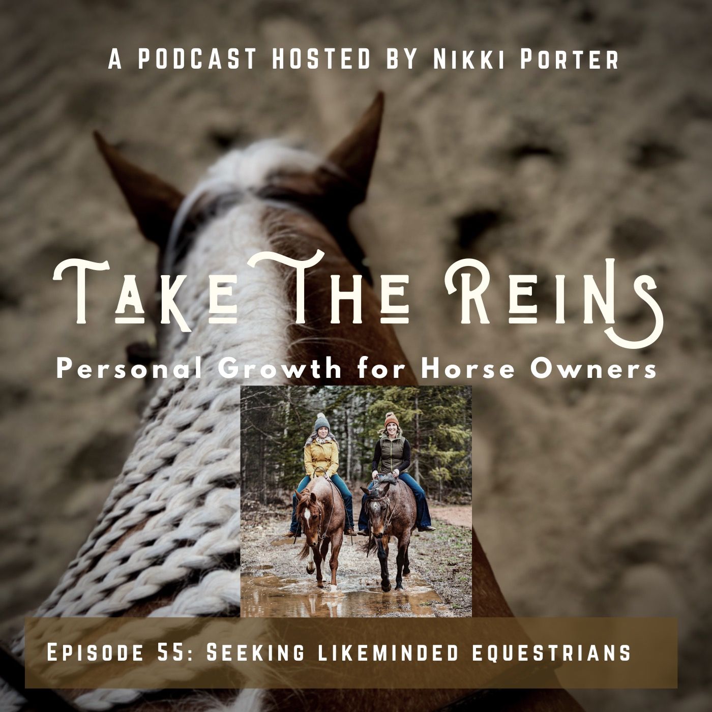 Take the Reins