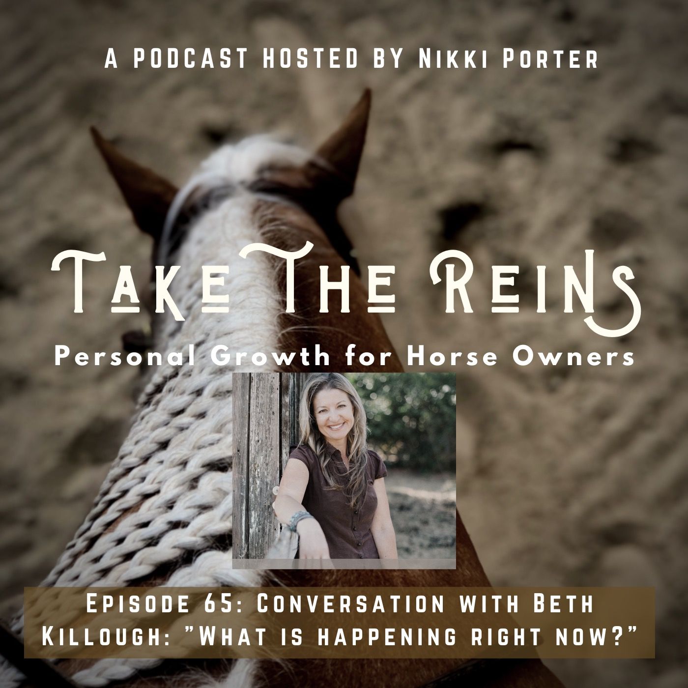 Take the Reins