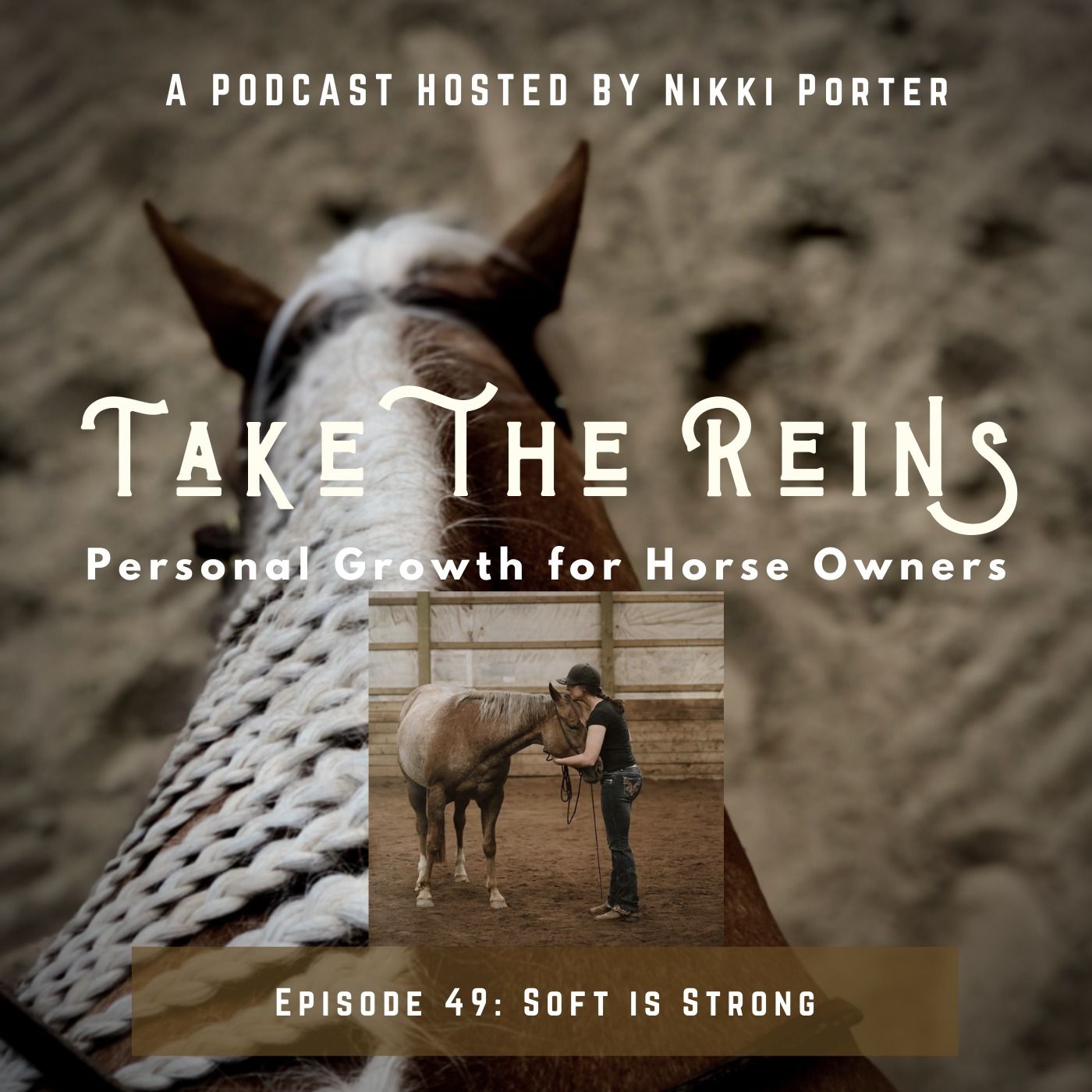 Take the Reins