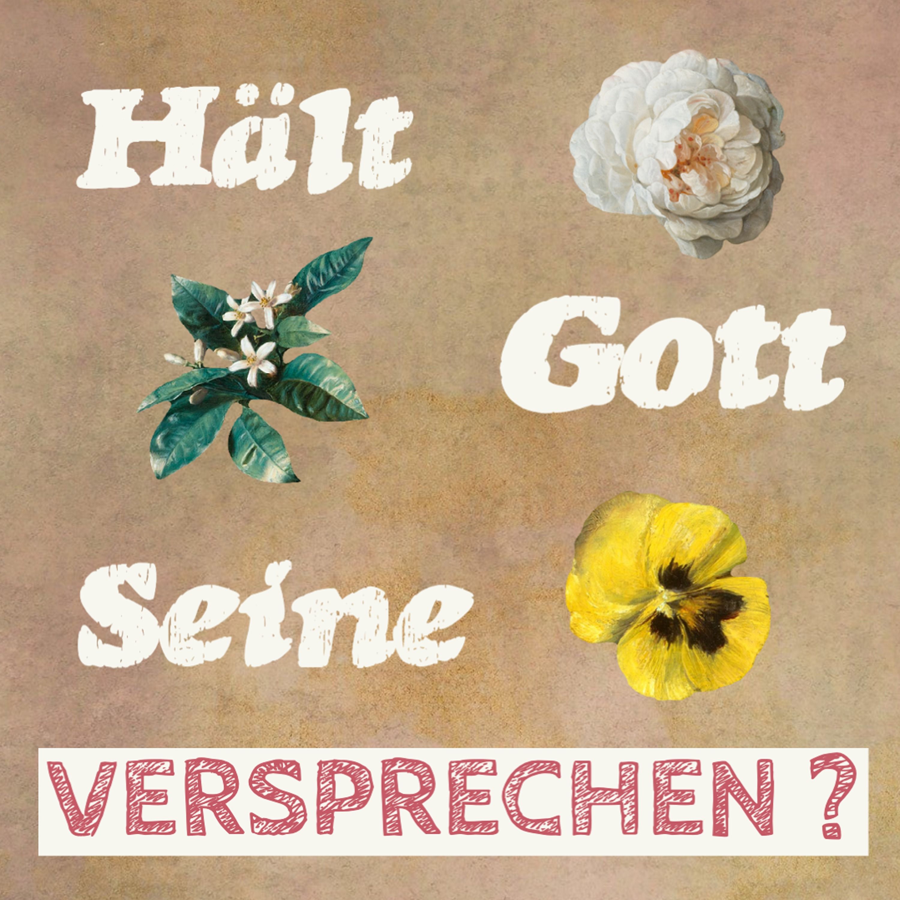 Mitternachtsruf-Podcast