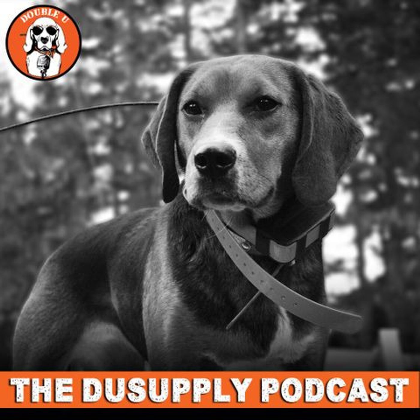 EP 158 Catch a Lion by Its Tail With Jerry Myra