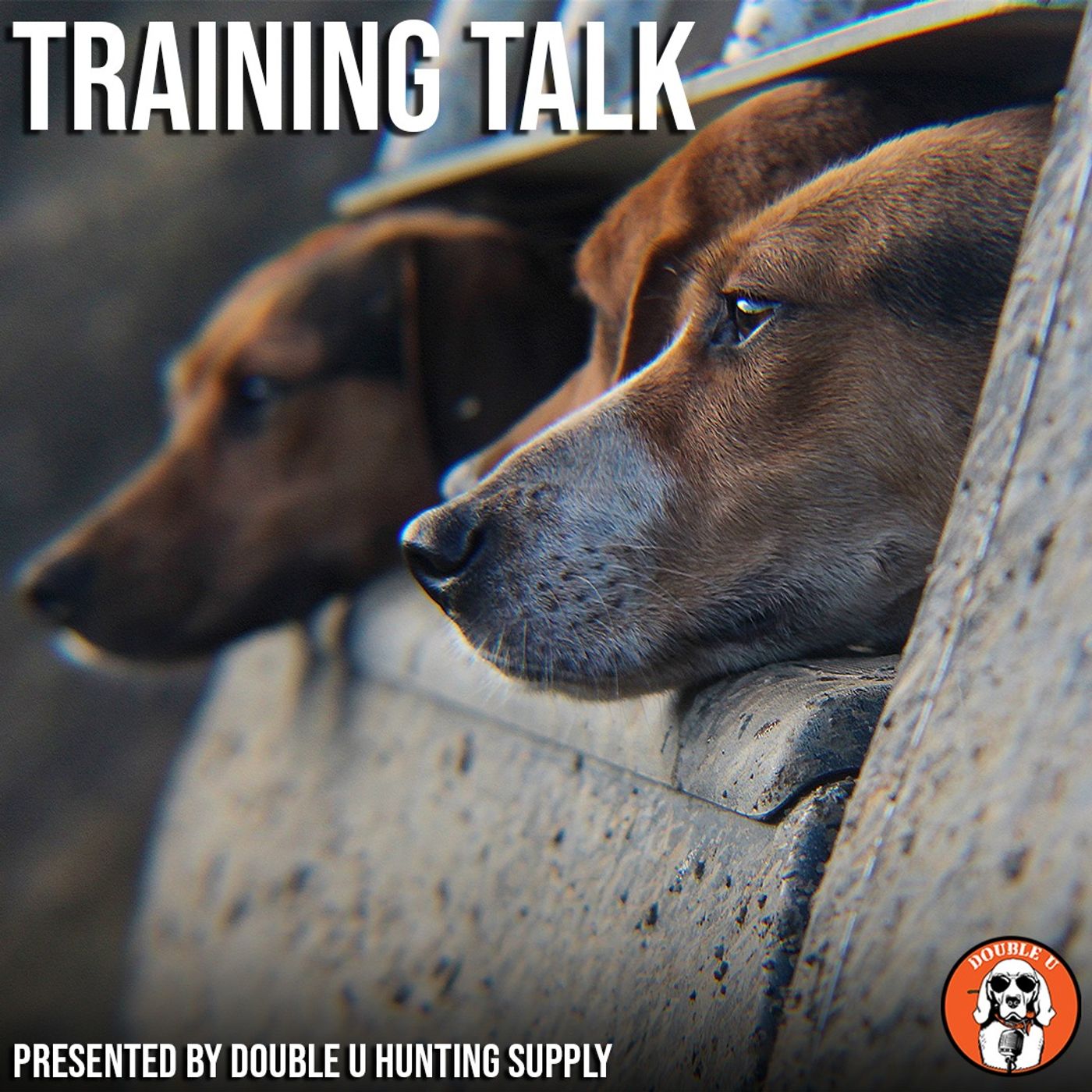 Training Talk: Navigating the Middle