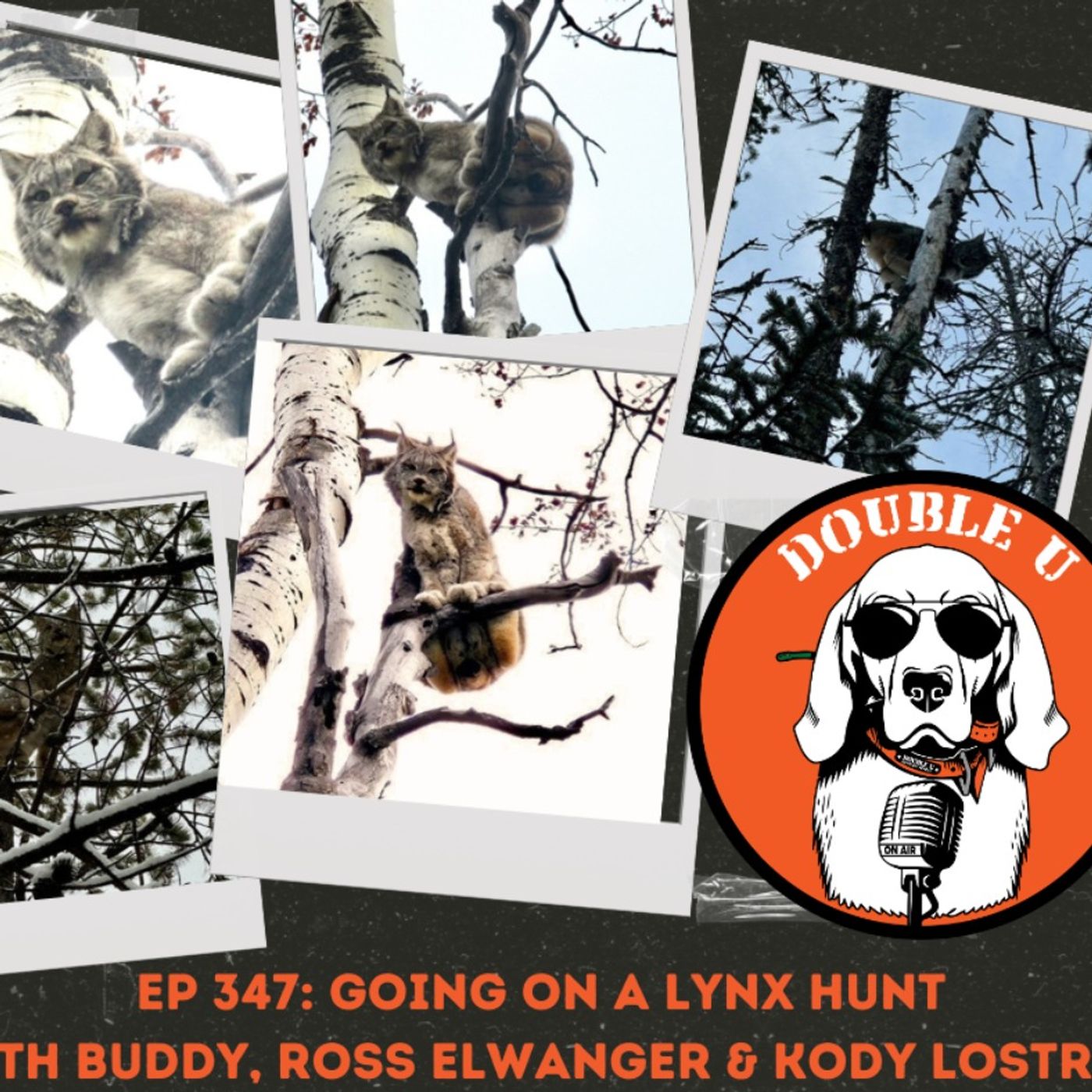 Lynx Hunting in BC,   Kody Lohstroh, Ross Ellwanger, and Buddy