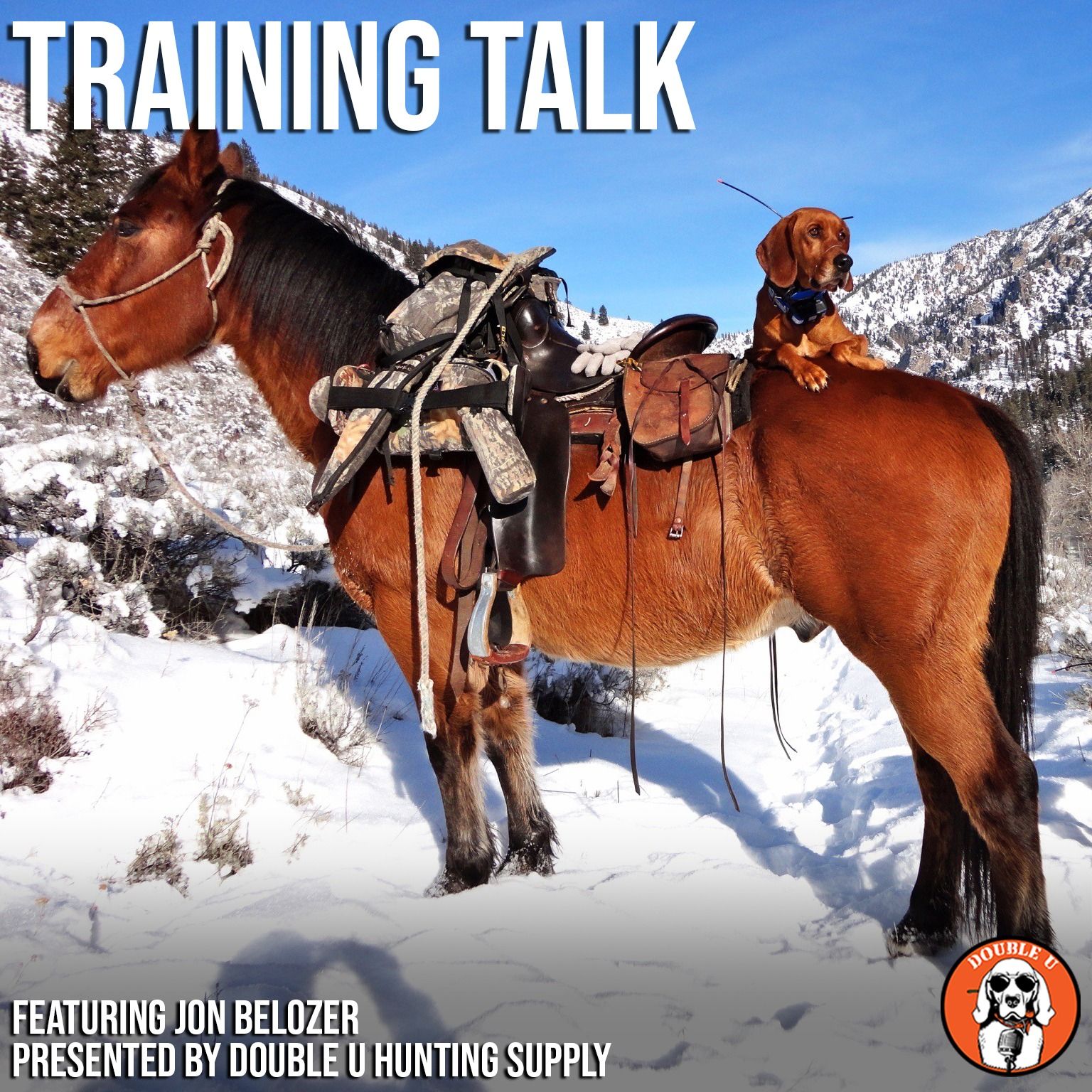 Training Talk: Introducing Your Dogs to Hunting on a Mule or Horse