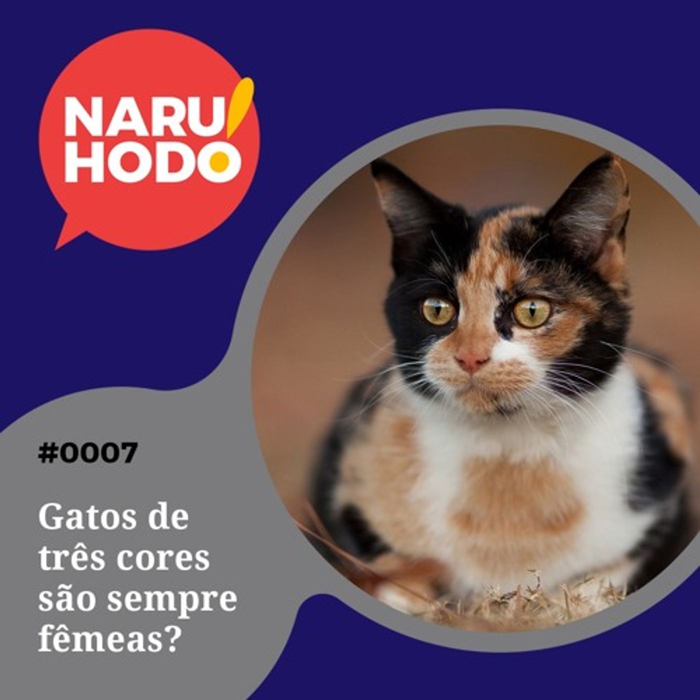 Naruhodo #7 - Gatos de três cores são sempre fêmeas?