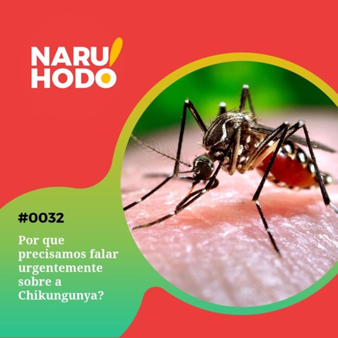 REPLAY: Naruhodo #32 - Por que precisamos falar urgentemente sobre a Chikungunya?