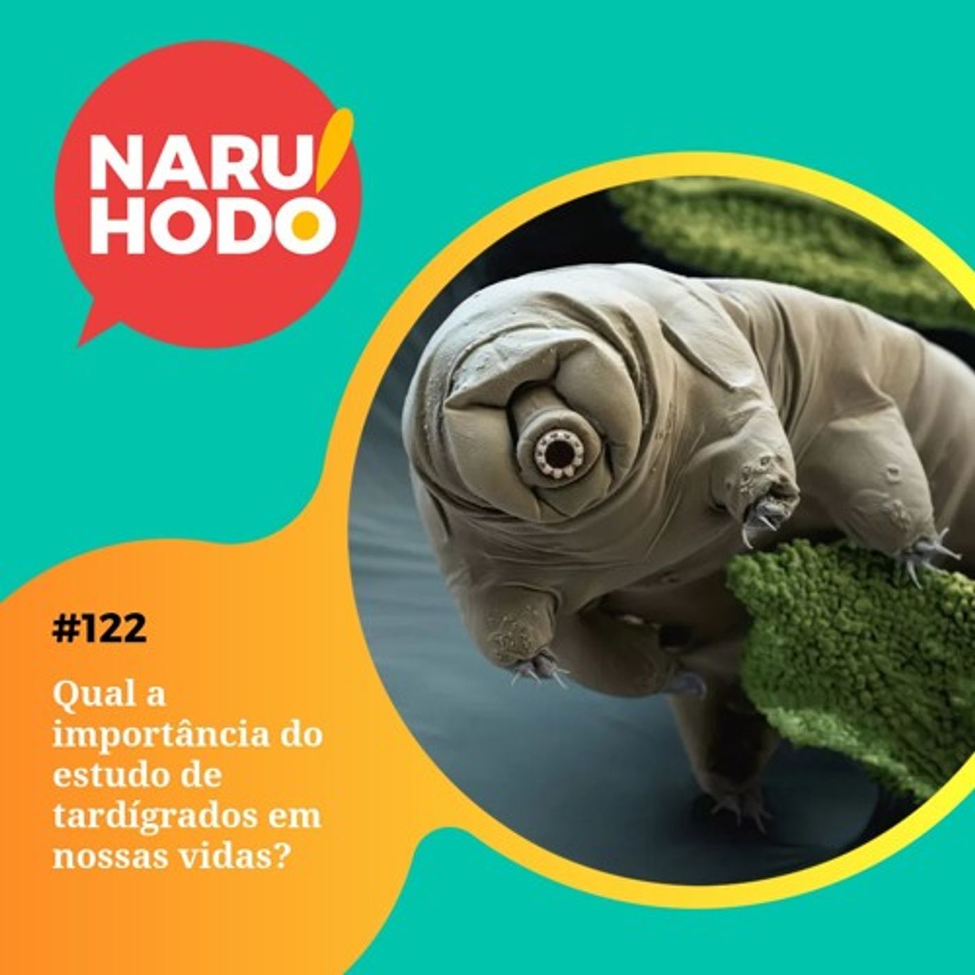 Naruhodo #122 - Qual a importância que o estudo de tardígrados tem em nossas vidas?