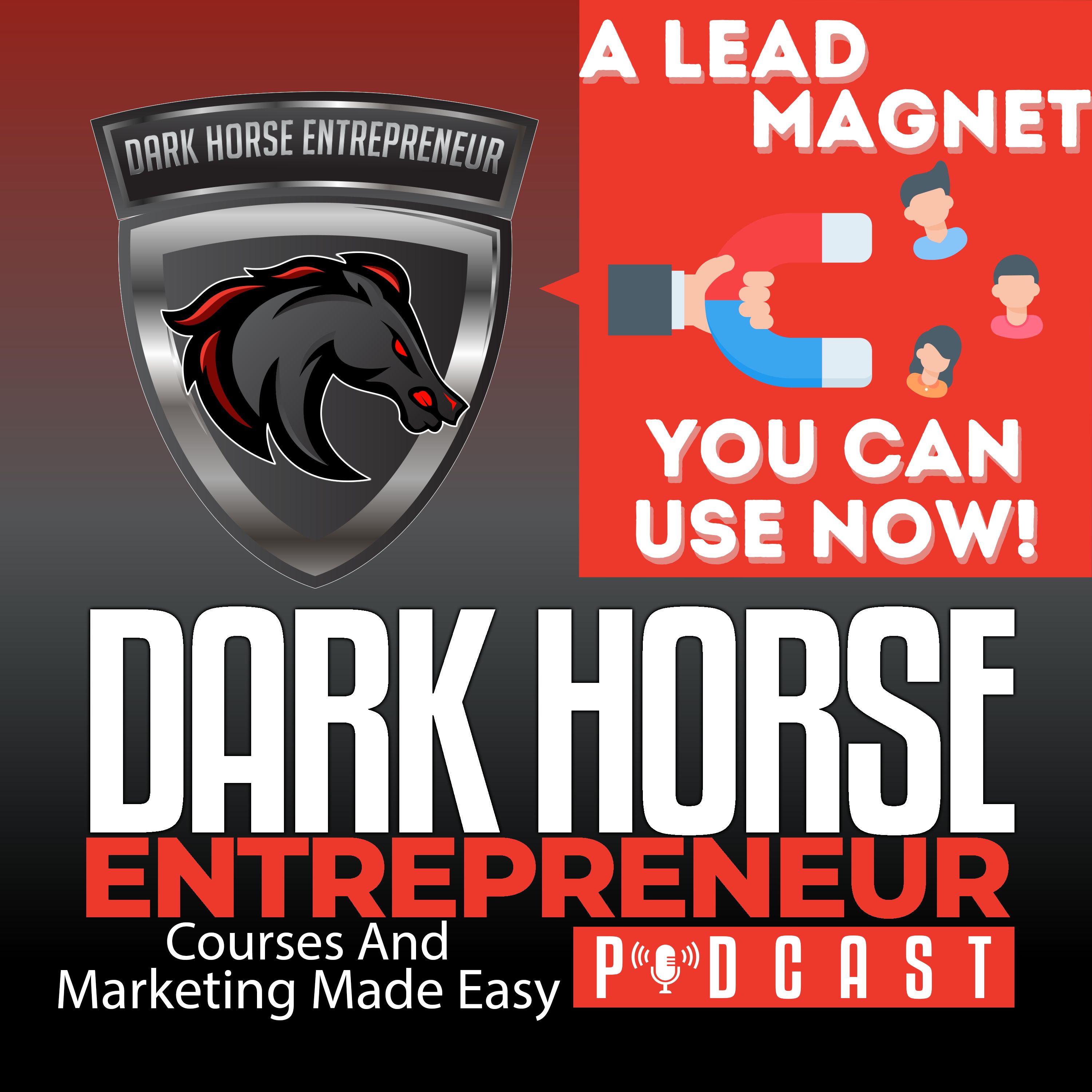 EP 380 A Multi Purpose Lead Magnet For Nearly Any Niche episode artwork
