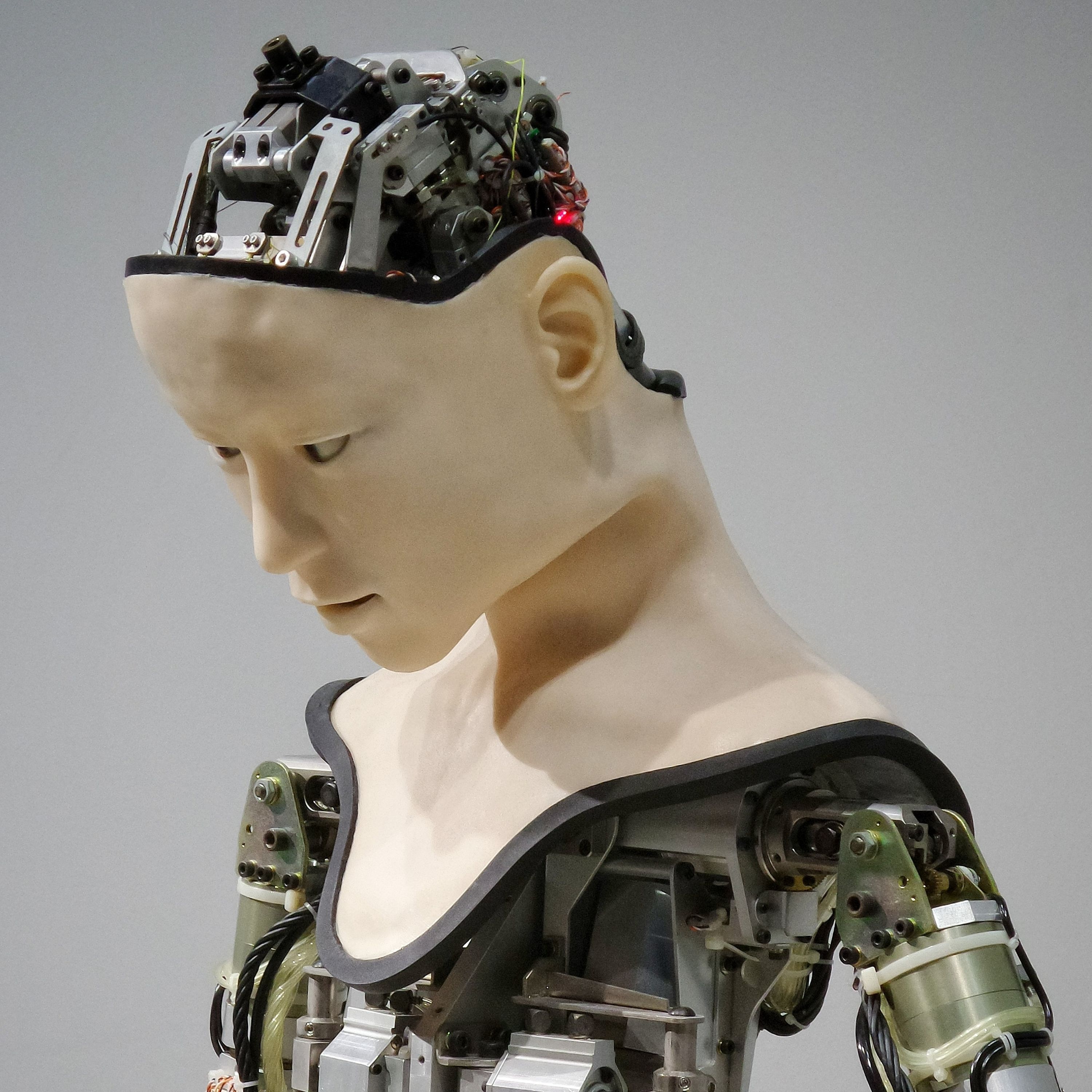 Our AI Future