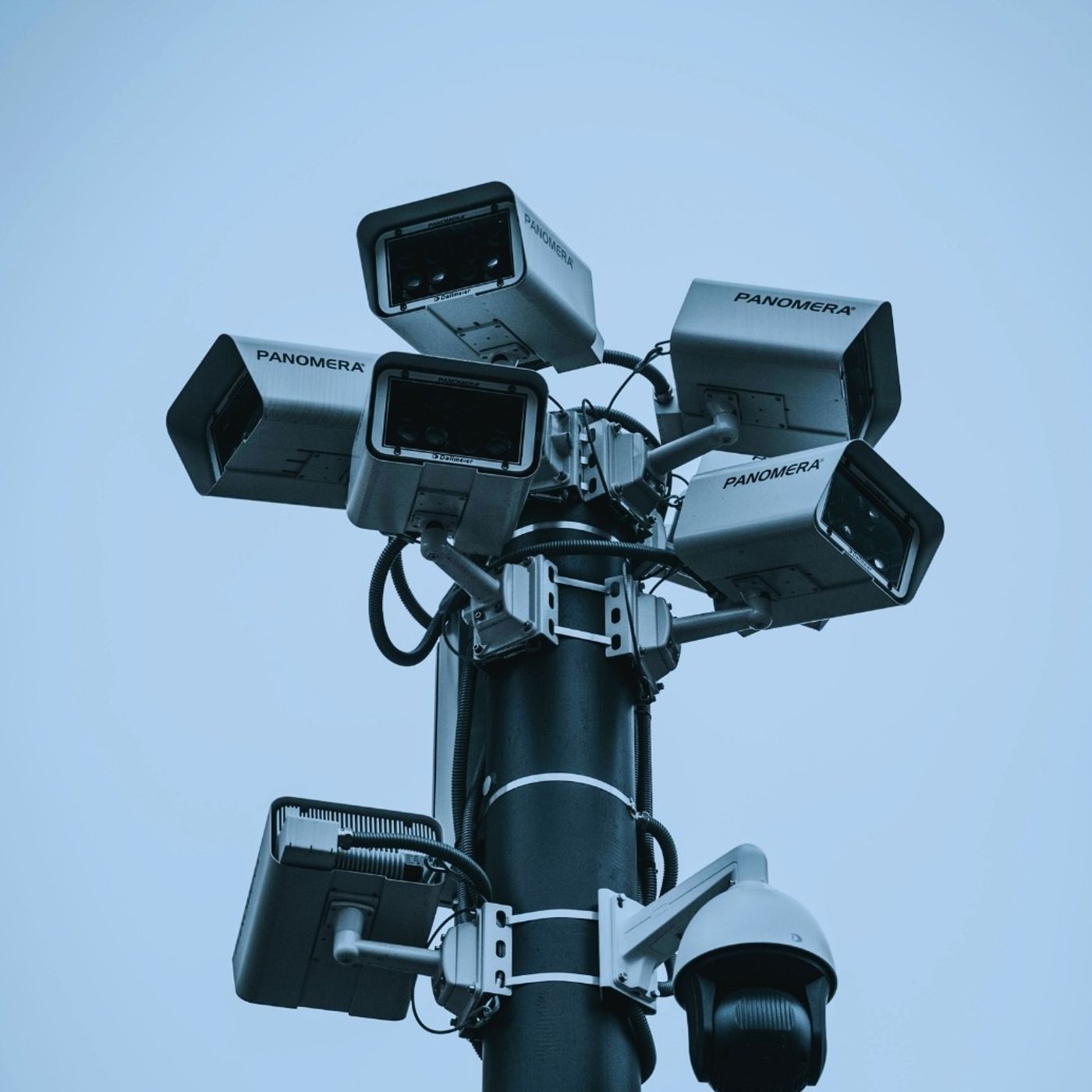 Flock Cameras: The Next Surprise Election Issue episode artwork