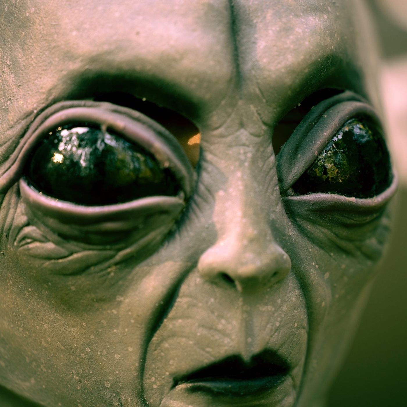 Aliens Aren't Real But They Are Friendly?