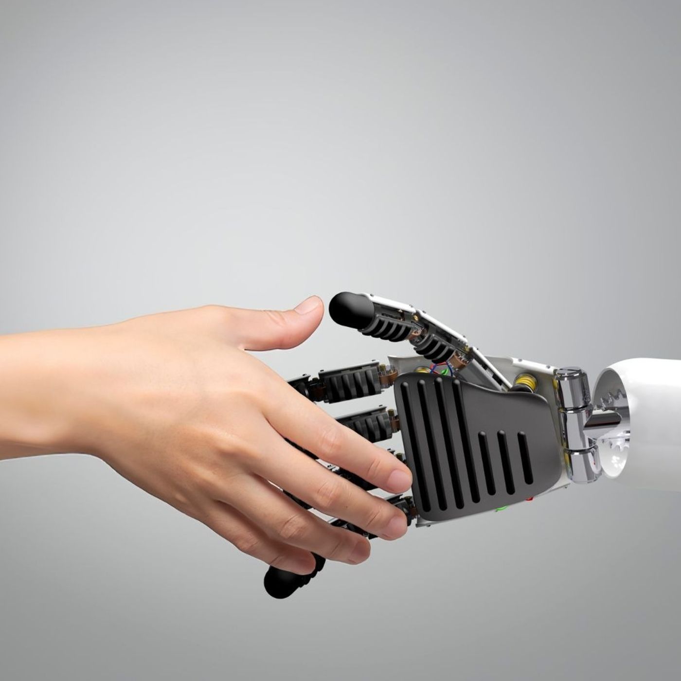 Bot Friends and Book Bans