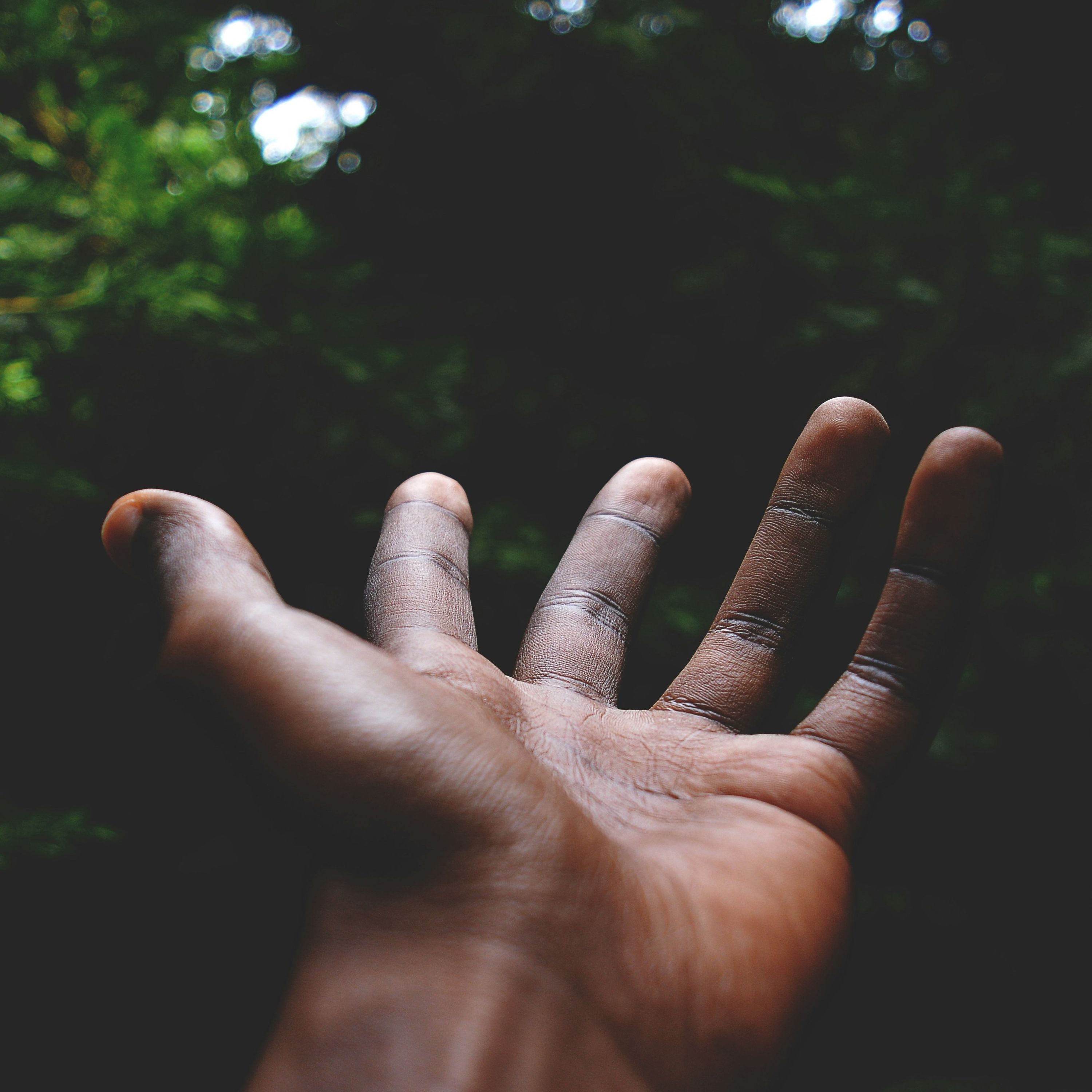 Diversity, Equity, and Inclusion in America