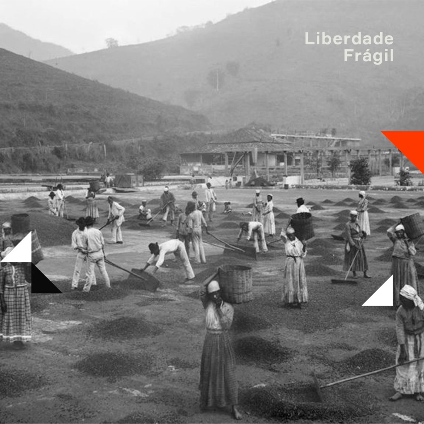 O Plano | 1. Liberdade Frágil