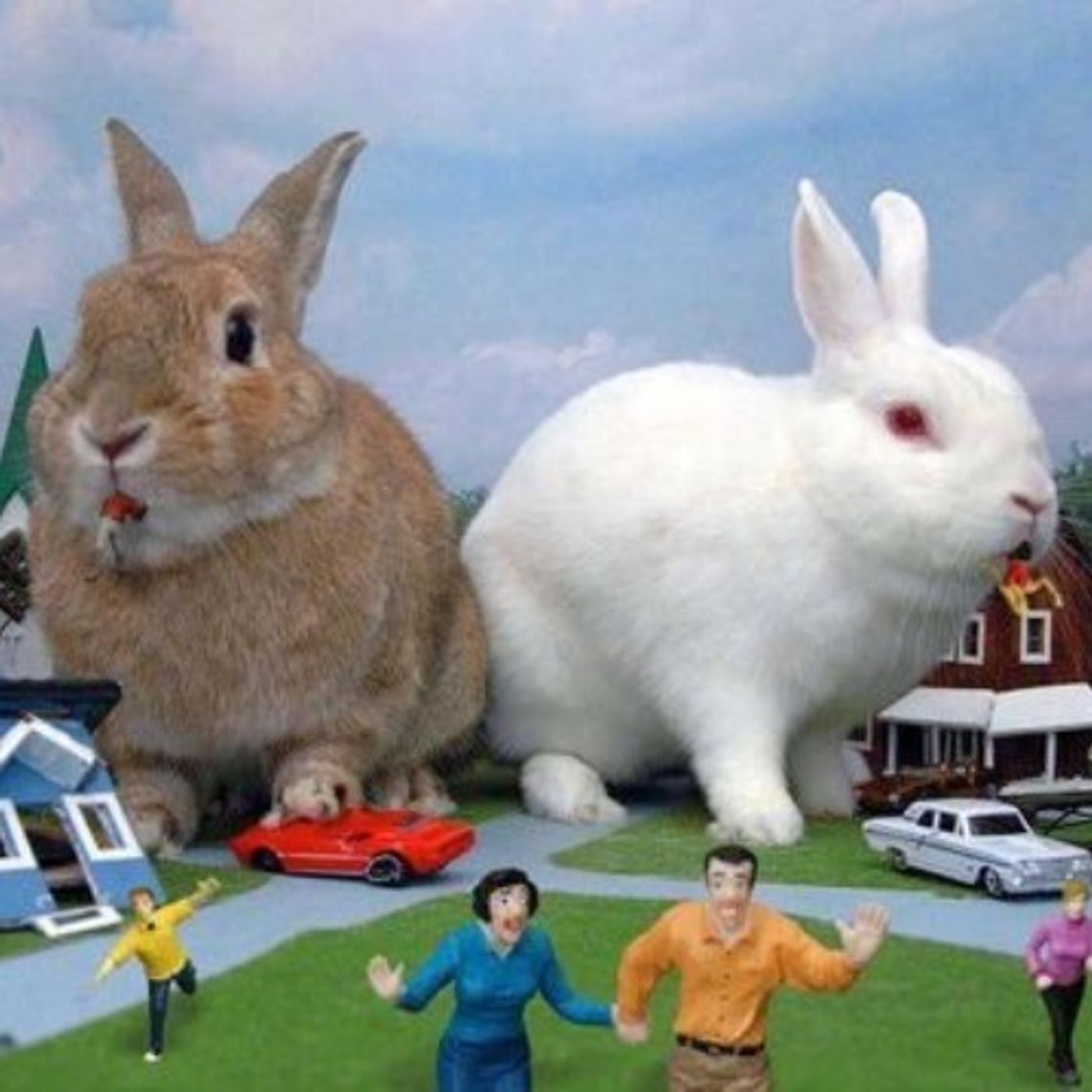 EP#2 THE KILLER BUNNIES