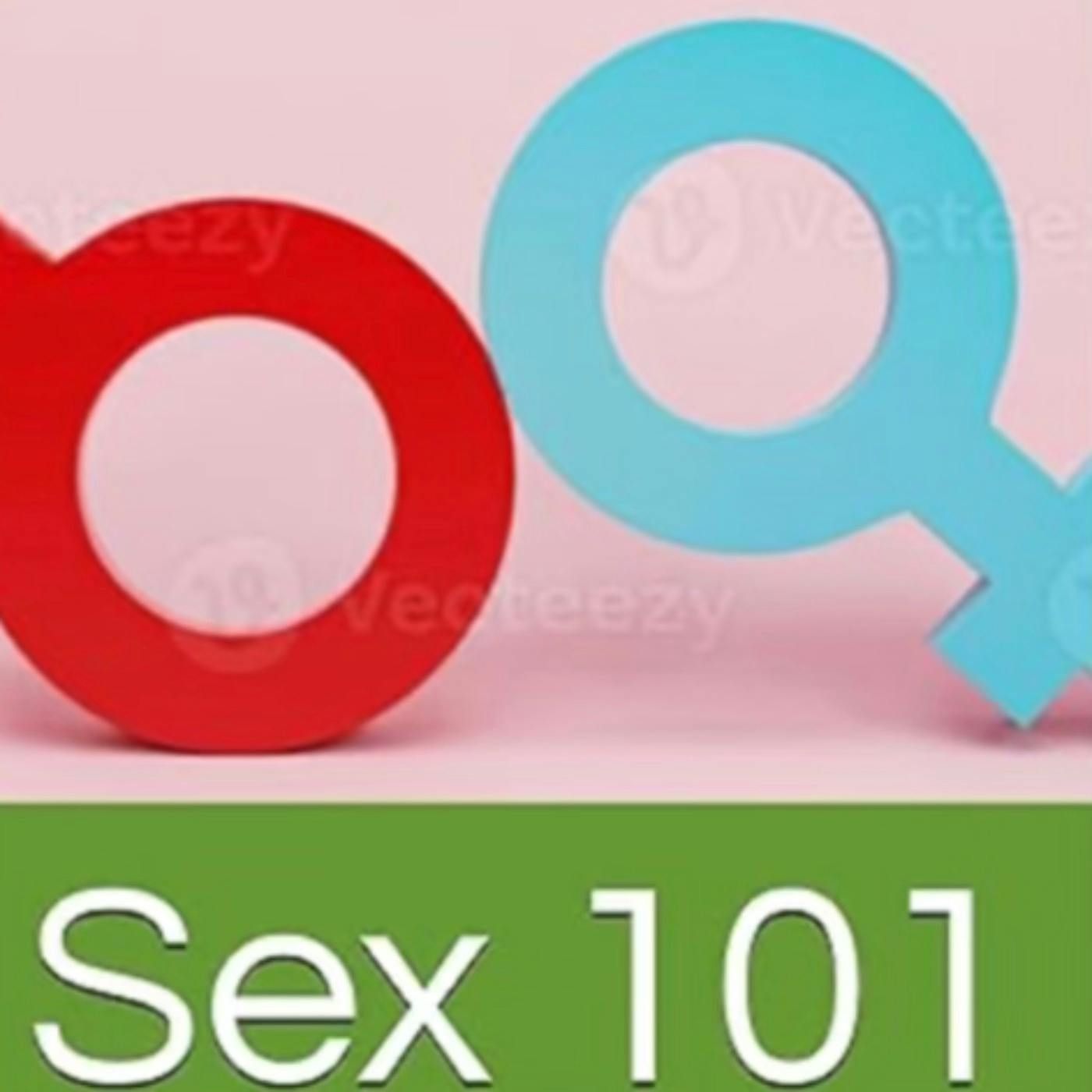(Bonus Episode)Sex 101, in its first season, features Beyond Pleasure: Reclaiming the Meaning of Sex in the Age of Self-Gratification episode artwork