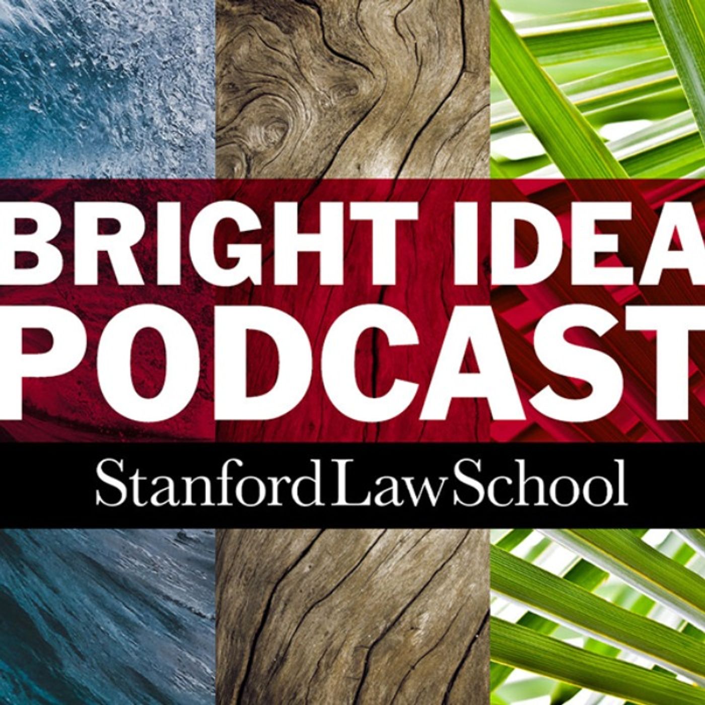 The Bright Idea