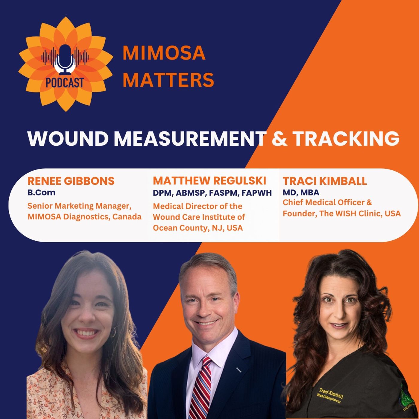 Wound Measurement and Tracking Wound Measurement and Tracking