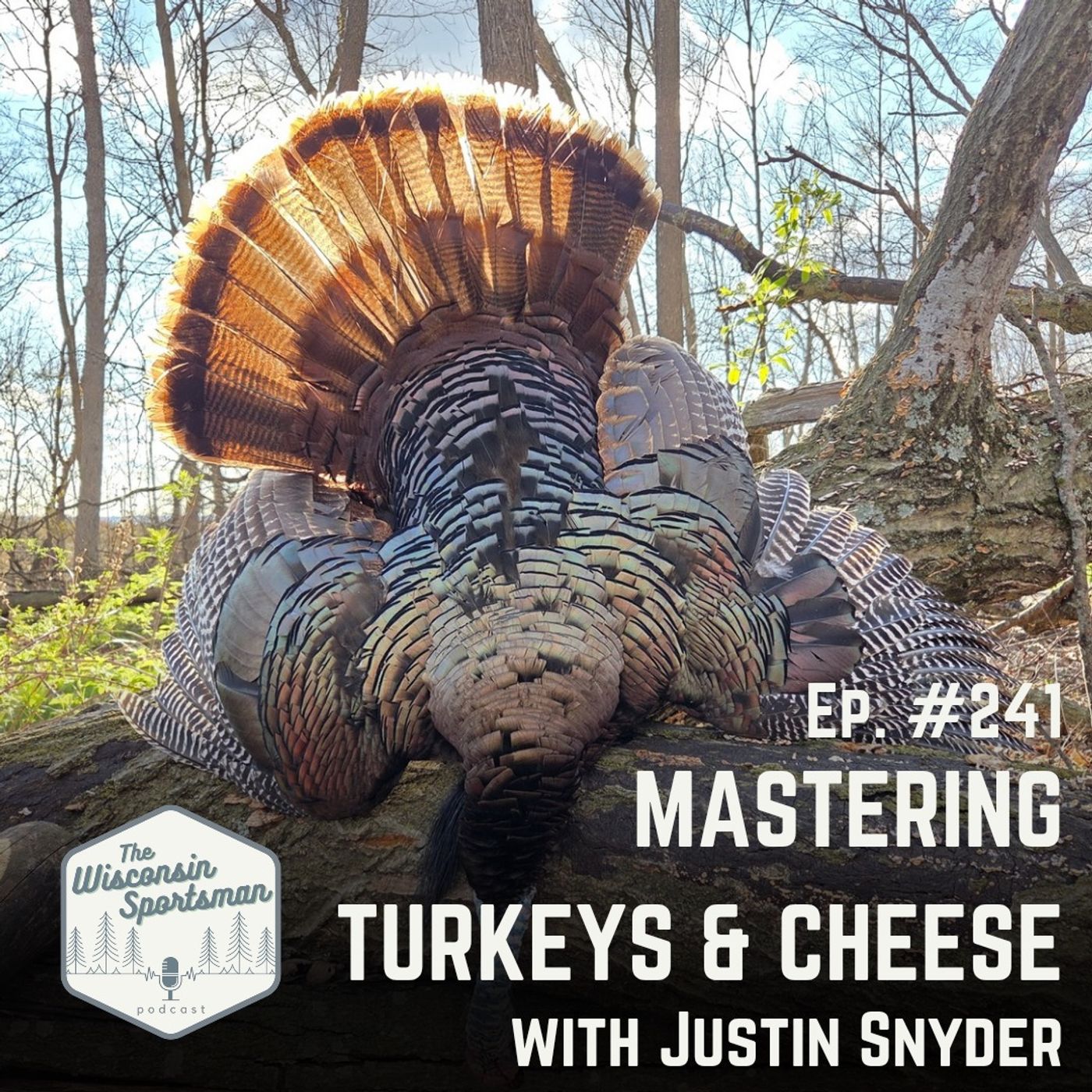 Mastering Cheese & Turkeys with Justin Snyder episode artwork