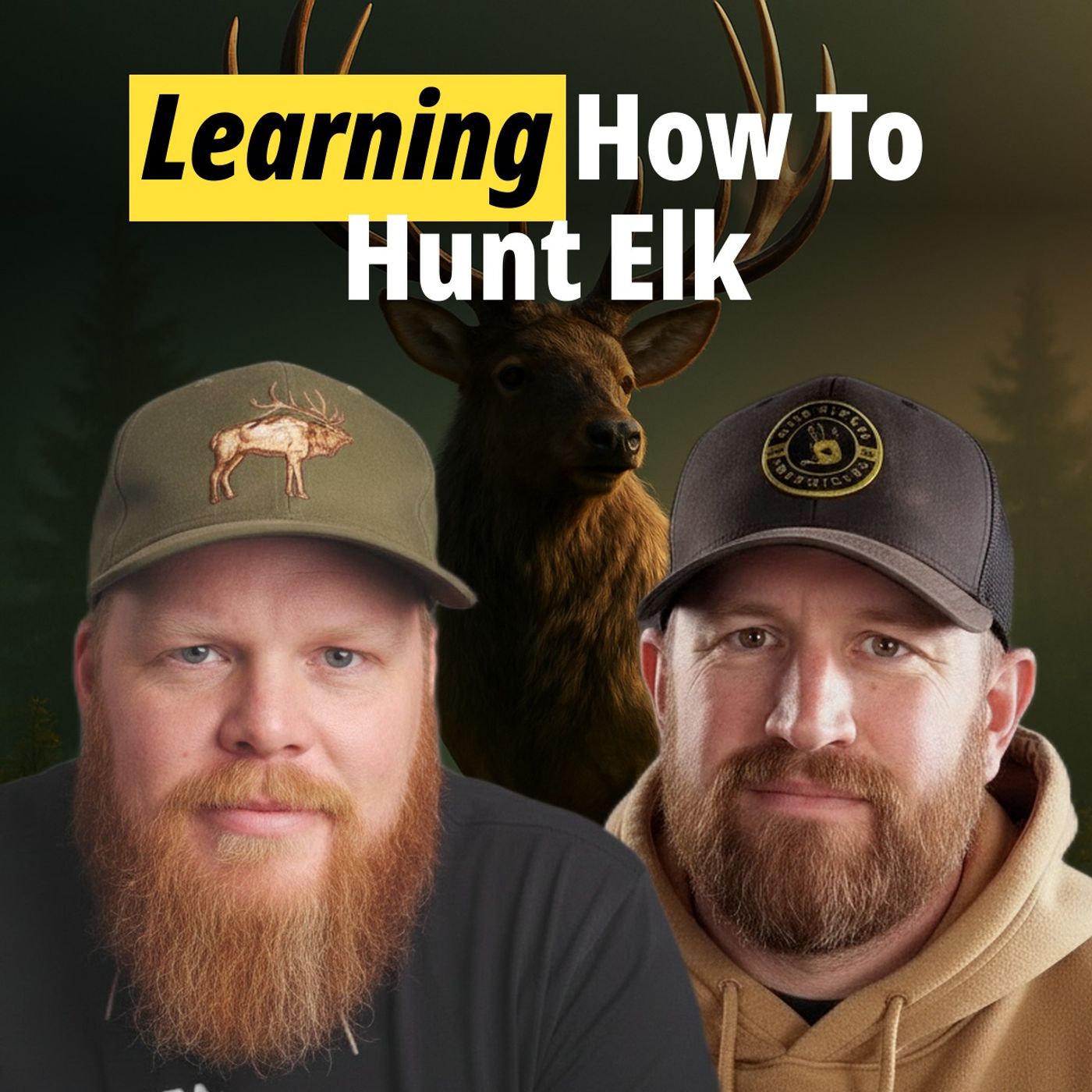 Learning How To Hunt Elk Learning How To Hunt Elk