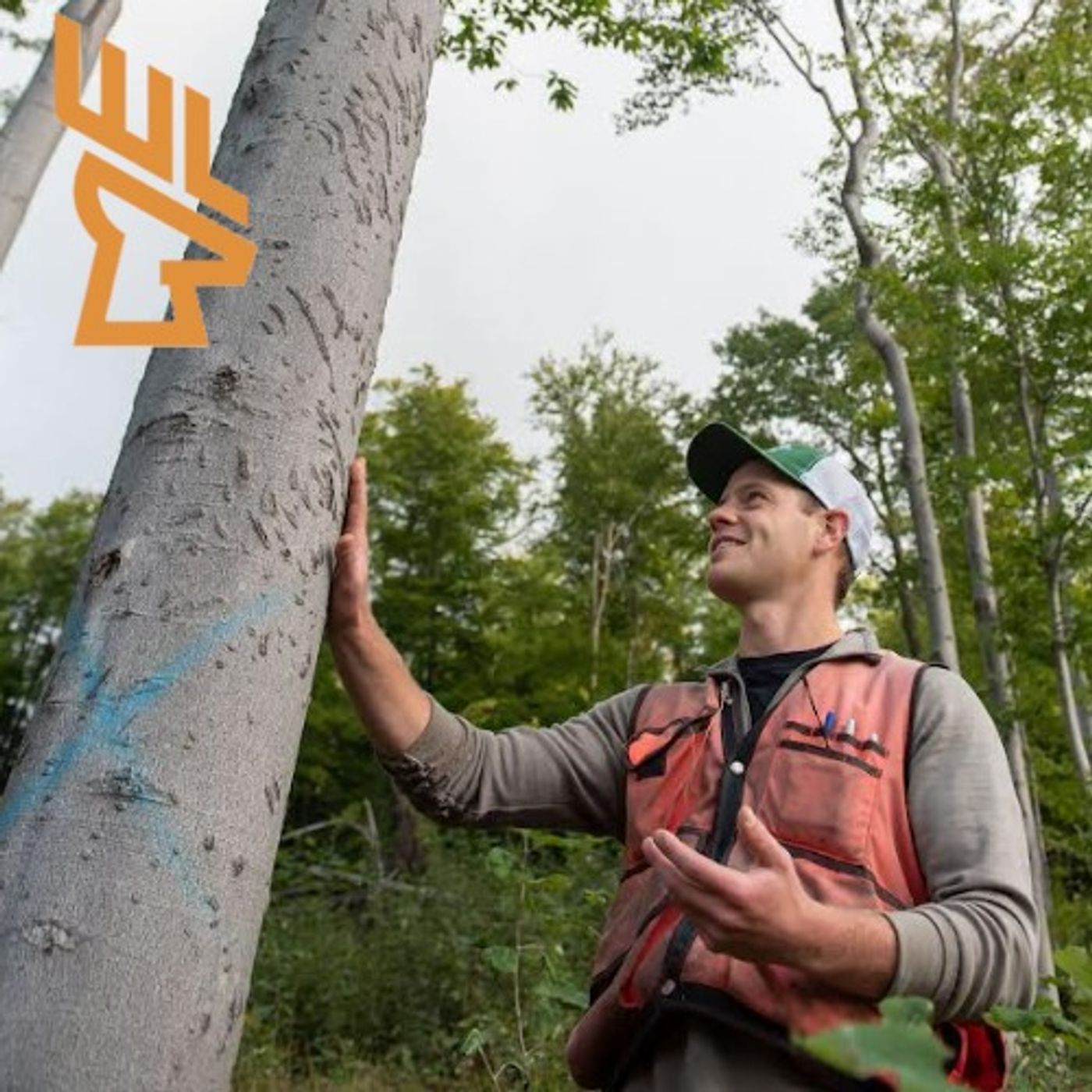 EP177 Healthy Forest, Tree Decisions, Better Deer Habitat