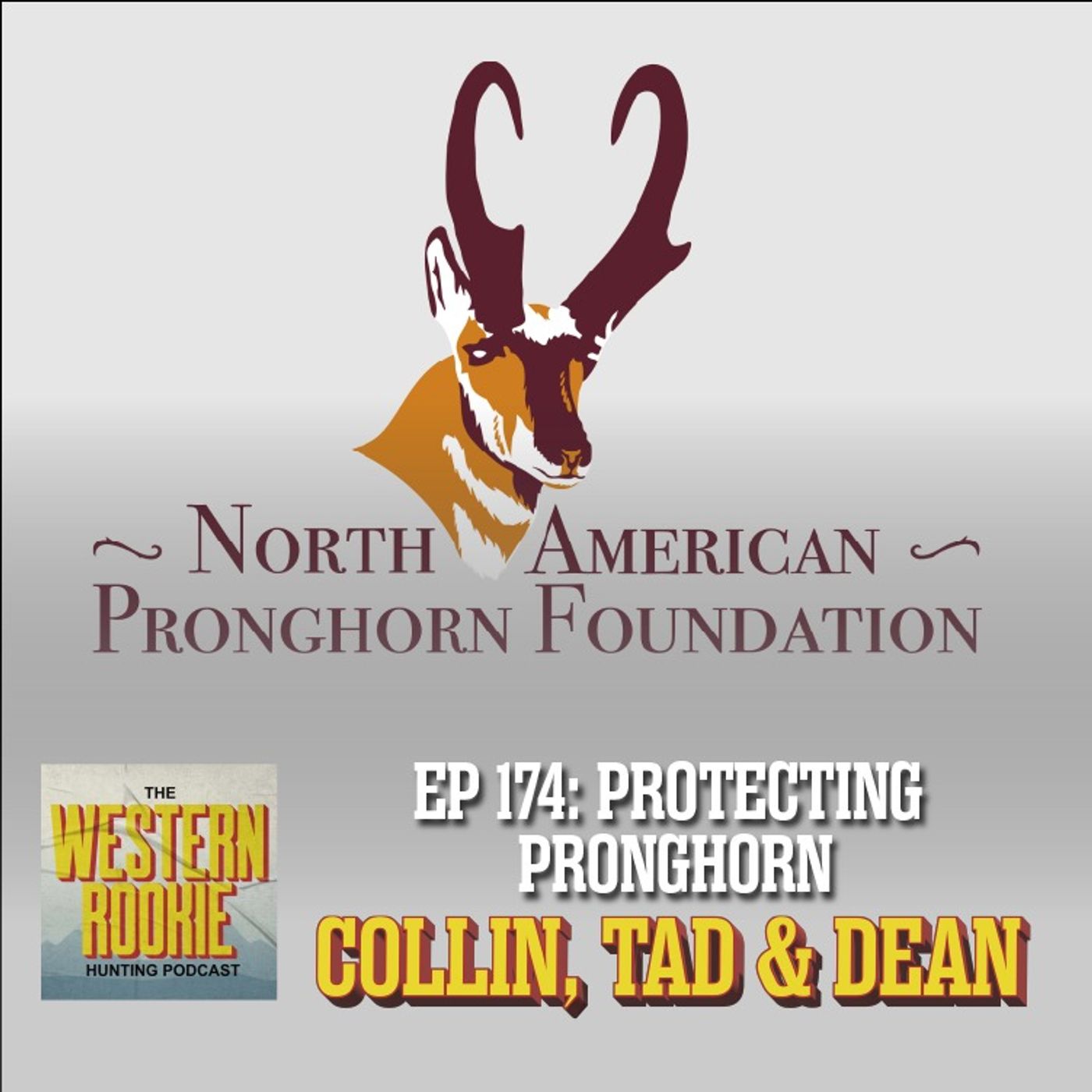 Protecting Pronghorn w/ North American Pronghorn Foundation