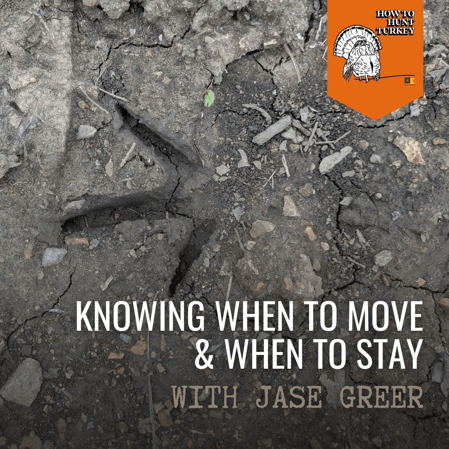 How To Hunt Turkey - Knowing When to Move and When To Stay